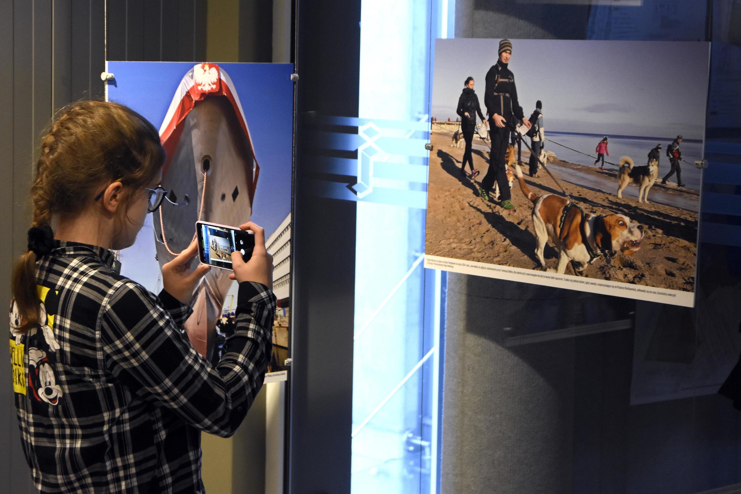 Czasami wołał mnie, &bdquo;chodź, zobacz jaki ciekawy temat, jakie śmieszne zdjęcie udało mi się zrobić&rdquo;. Tu właśnie wisi taka fotografia z dog tracking'u, kt&oacute;ra od razu wpadła mi w oko - m&oacute;wiła Magdalena Bołt, fot. Jan Ziarnicki