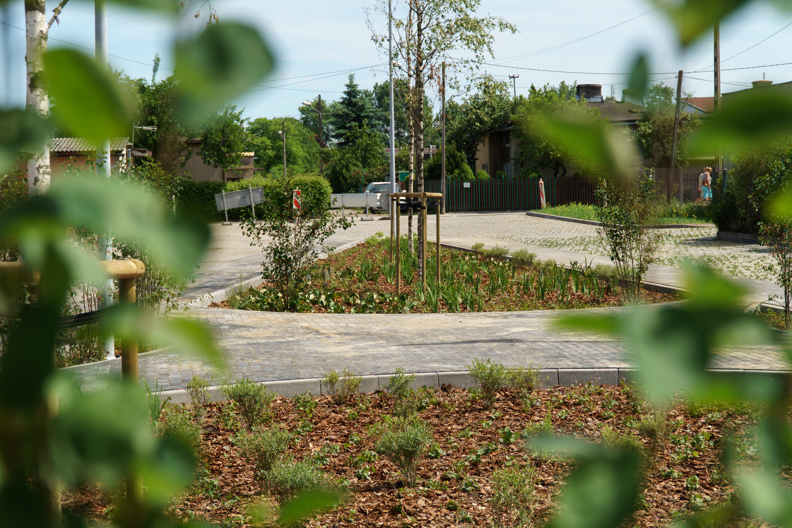Ogr&oacute;d deszczowy na Meksyku, fot. Aleksander Trafas / LIS