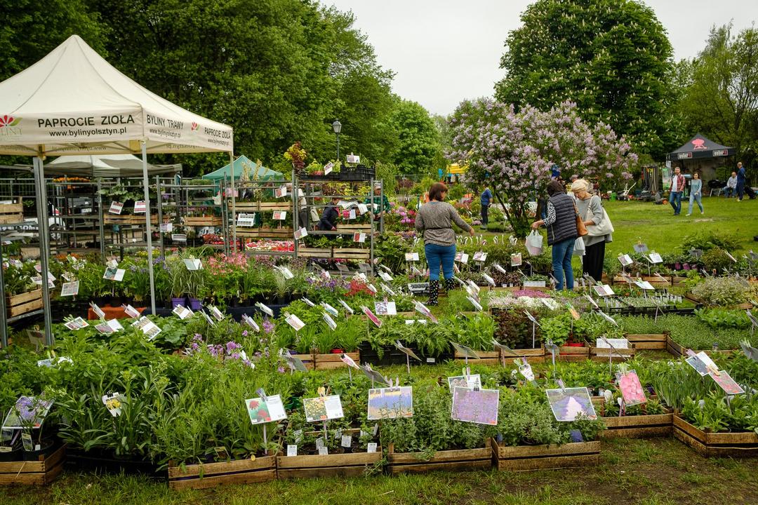 Wydarzenie obecne jest w Gdyni od wielu lat. Na zdjęciu edycja z roku 2018 // fot. Dawid Linkowski (archiwum)