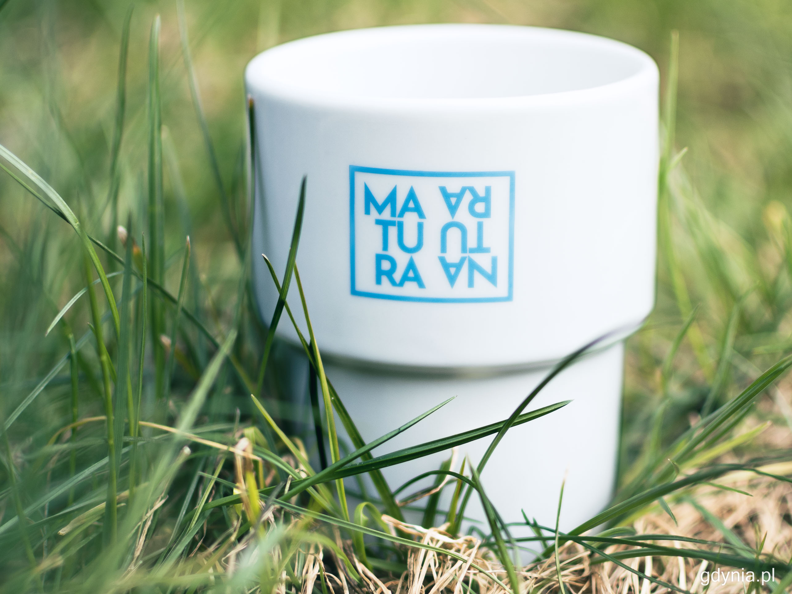 Natura, czyli plaże i morze lub... kojąca zieleń. Czyli to, za co cenią Gdynię mieszkańcy i turyści, fot. Kamil Złoch