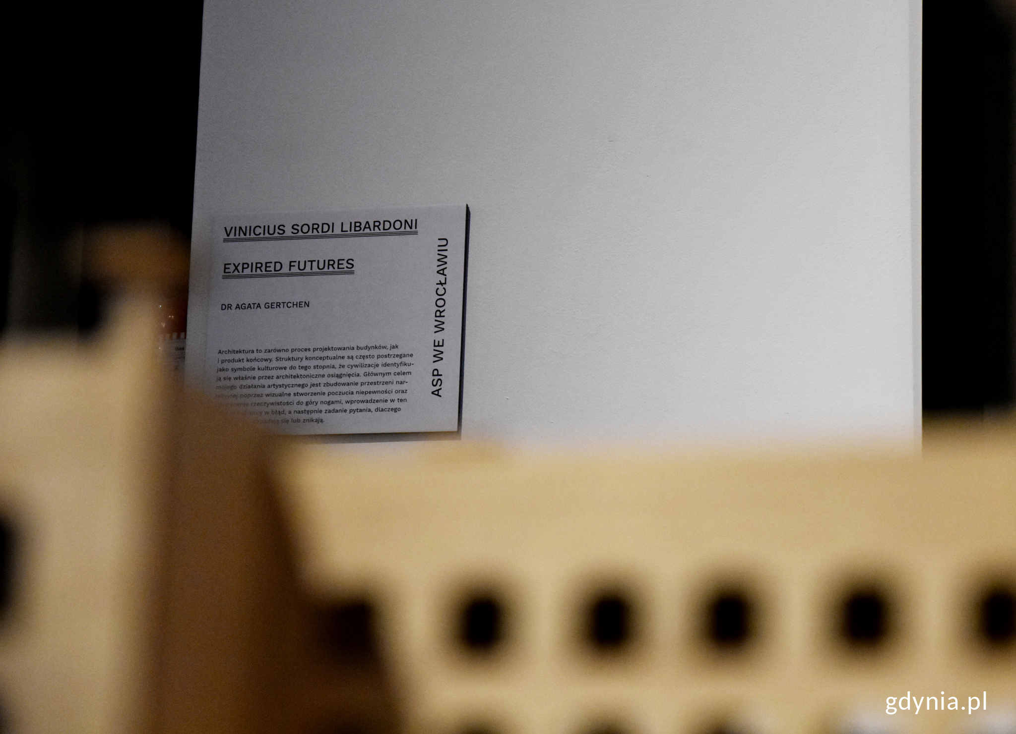 Praca &bdquo;Expired Futures&rdquo; Viniciusa Sordi Libardoniego, fot. Kamil Złoch