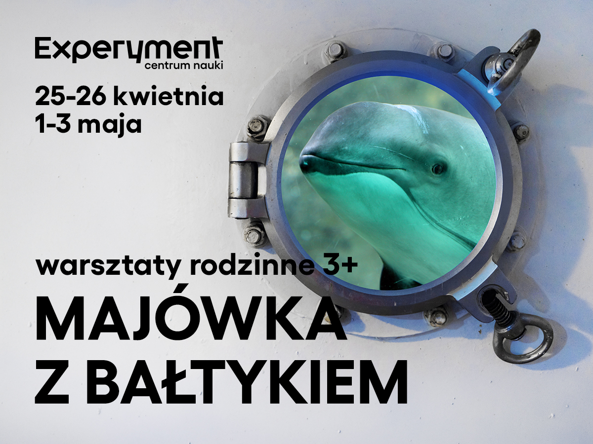 baner z morskimi klimatami