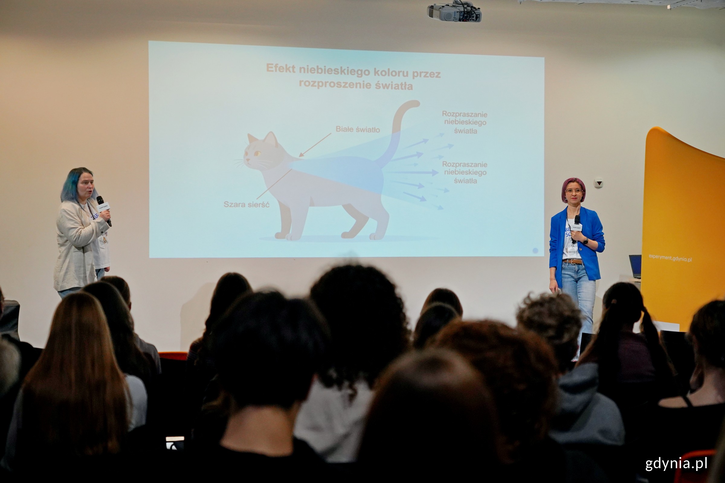 Od prawej: prof. dr hab. inż. Katarzyna Siuzdak oraz prof. IMP PAN dr hab. Katarzyna Grochowska z Instytutu Maszyn Przepływowych Polskiej Akademii Nauk w Gdańsku wygłaszające wykład w ramach ScienceCom 2025 (fot. Magdalena Czernek)