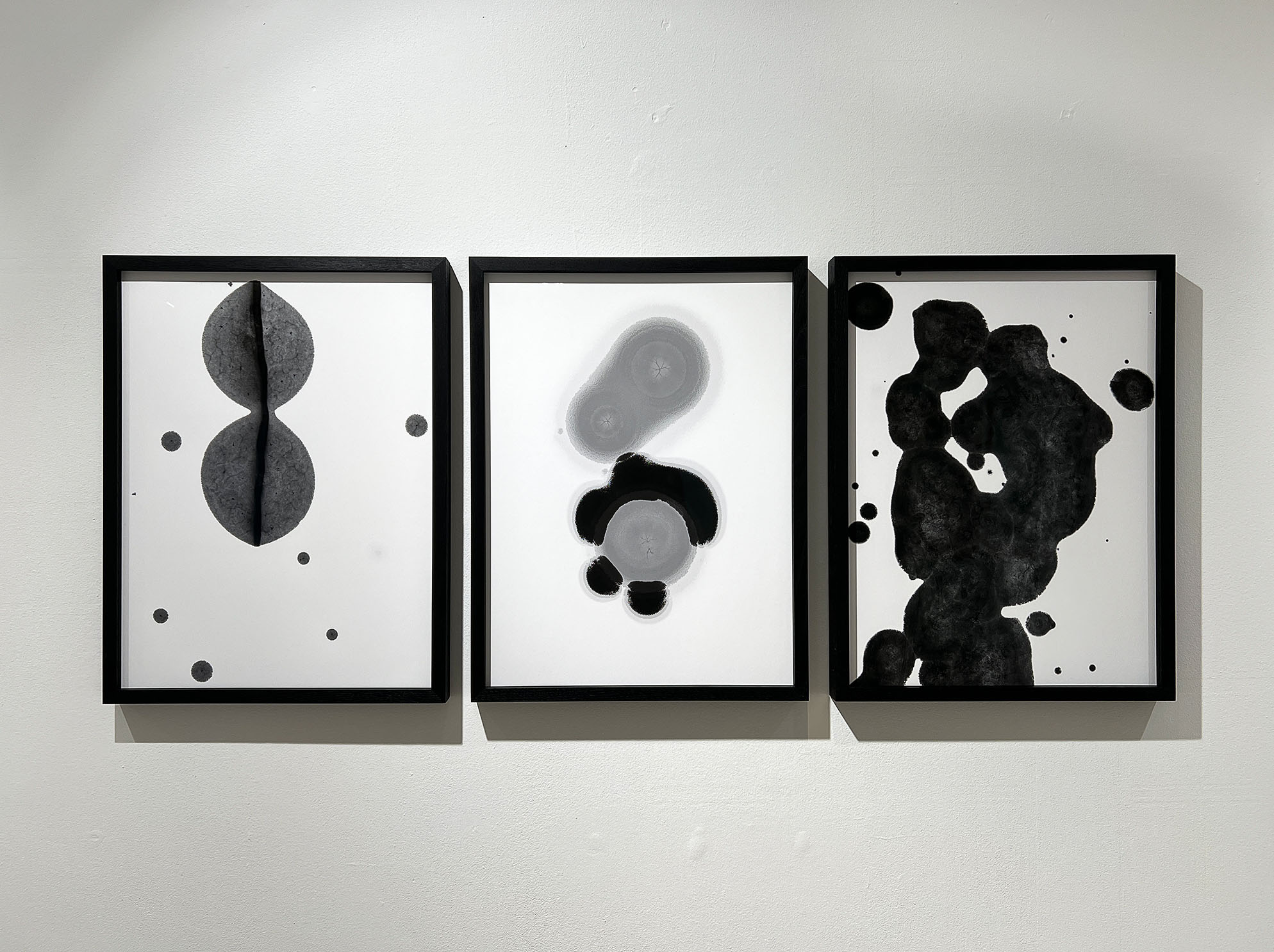 Wystawa Kacpra Kowalskiego w Galerii Bildhalle w Amsterdamie. Materiały prasowe