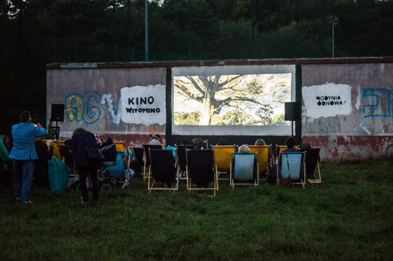 Kino Witomino.