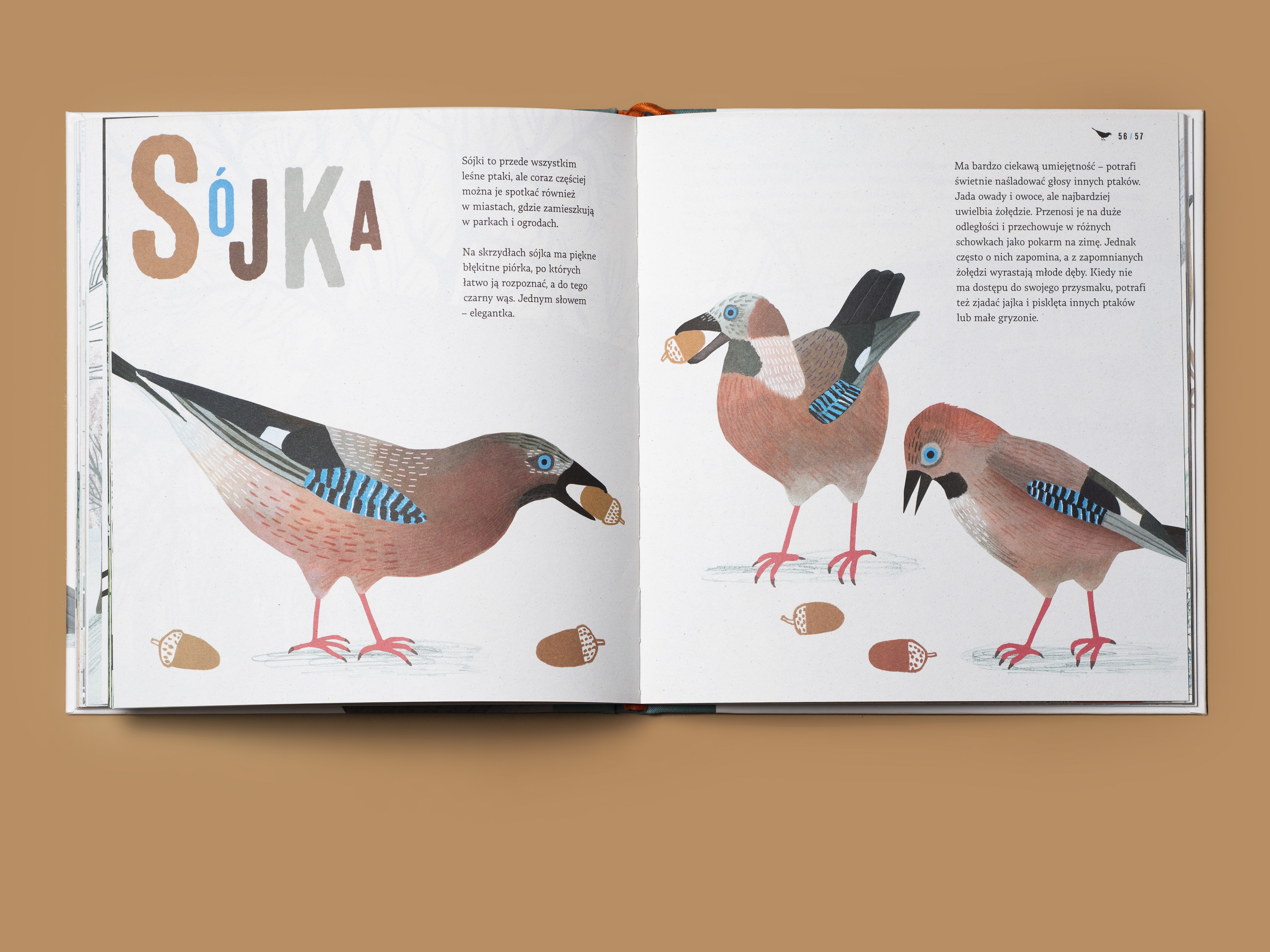 Książka &bdquo;Zapraszamy ptaki do Gdyni&rdquo; dostępna w sklepie Muzeum Miasta Gdyni, fot. mat. prasowe