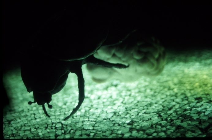 Marcin Krawczuk - wernisaż wystawy