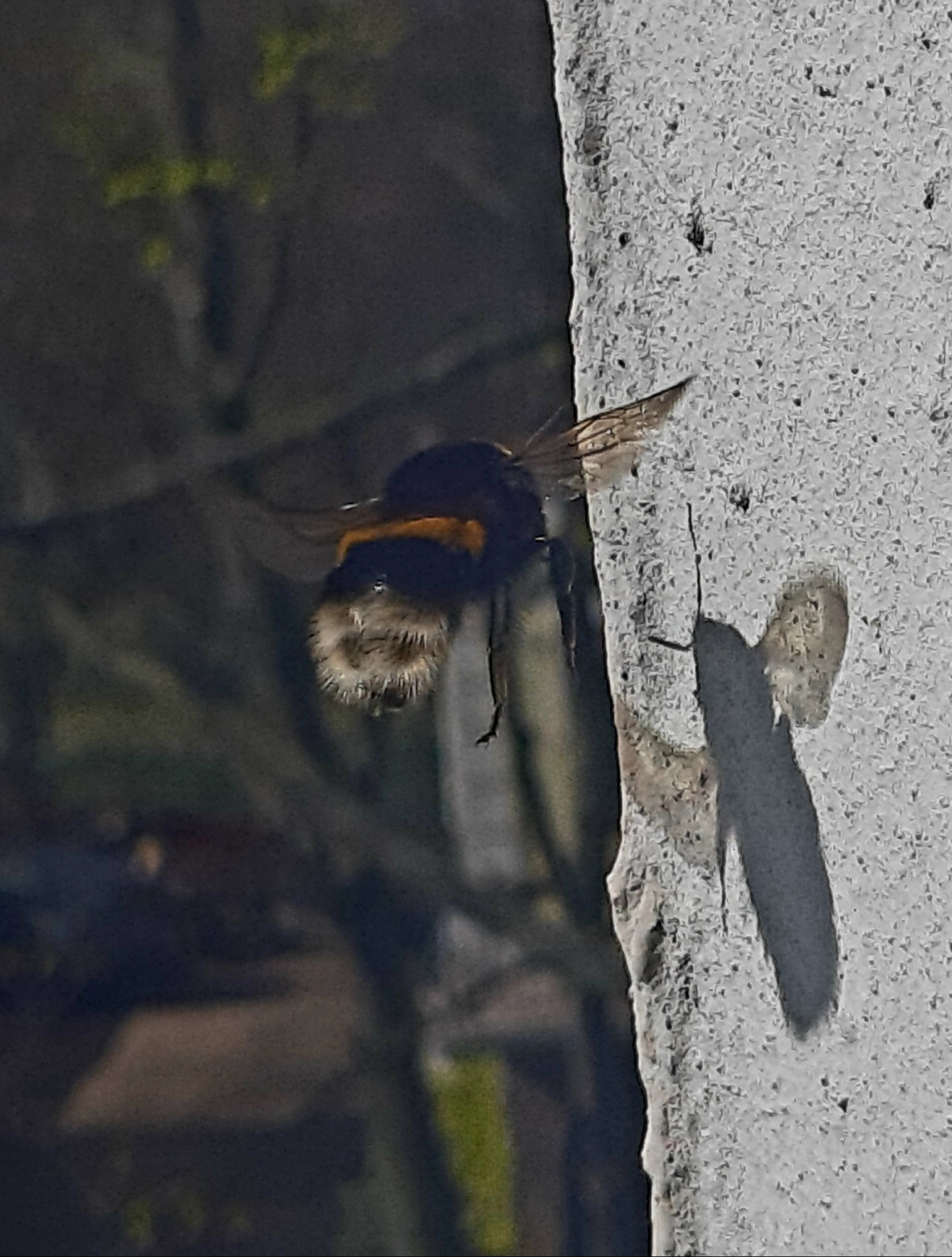 fot. materiały konkursowe