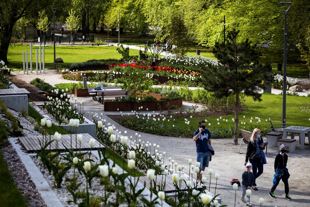 Park Centralny w Gdyni etap I (strefa A) pomiędzy ulicami Tetmajera i Legion&oacute;w. Źr&oacute;dło: www.modernizacjaroku.org