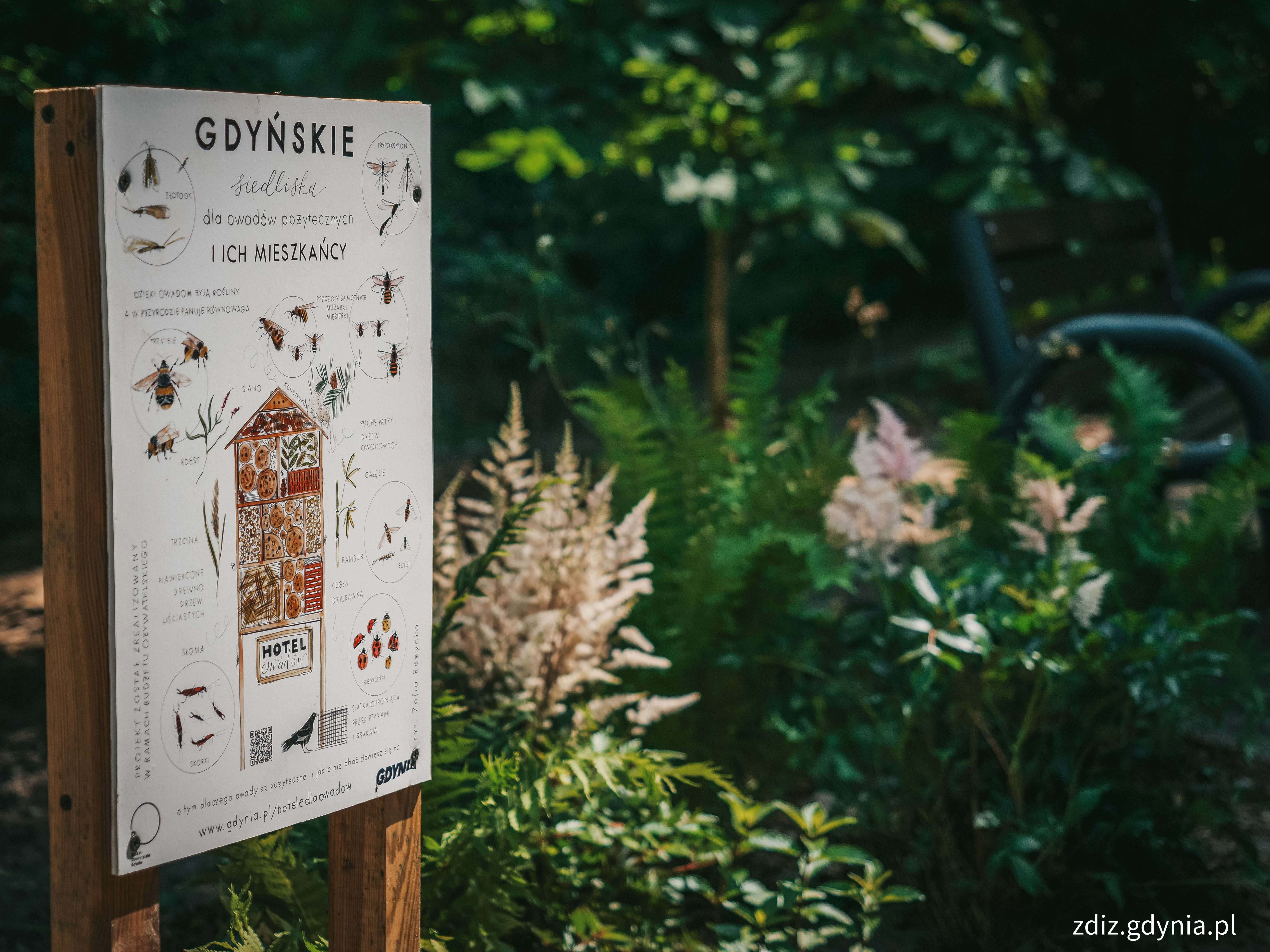 tablica informacyjna dot. domku dla owad&oacute;w, zieleń