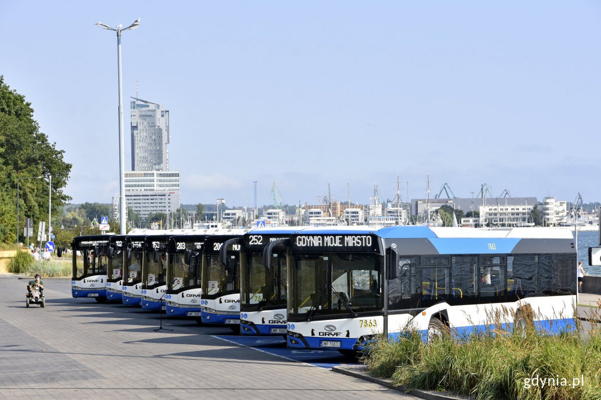 Nowe midibusy podczas prezentacji na skwerze Arki Gdynia, fot. Kamil Złoch