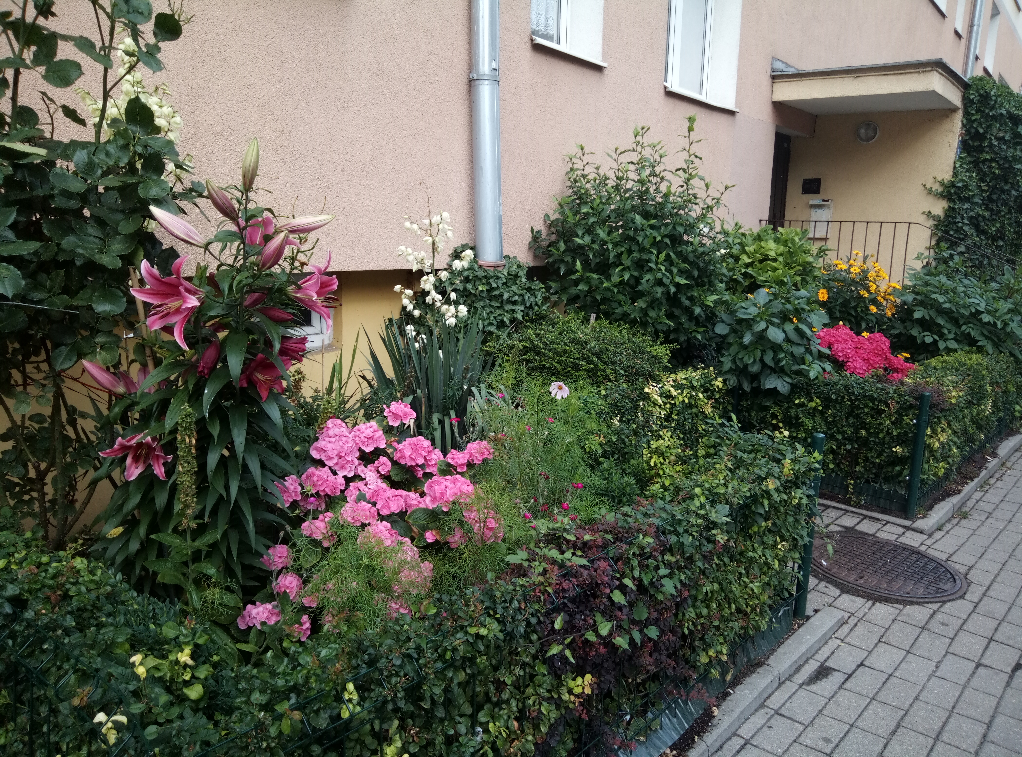 fot. materiały prasowe