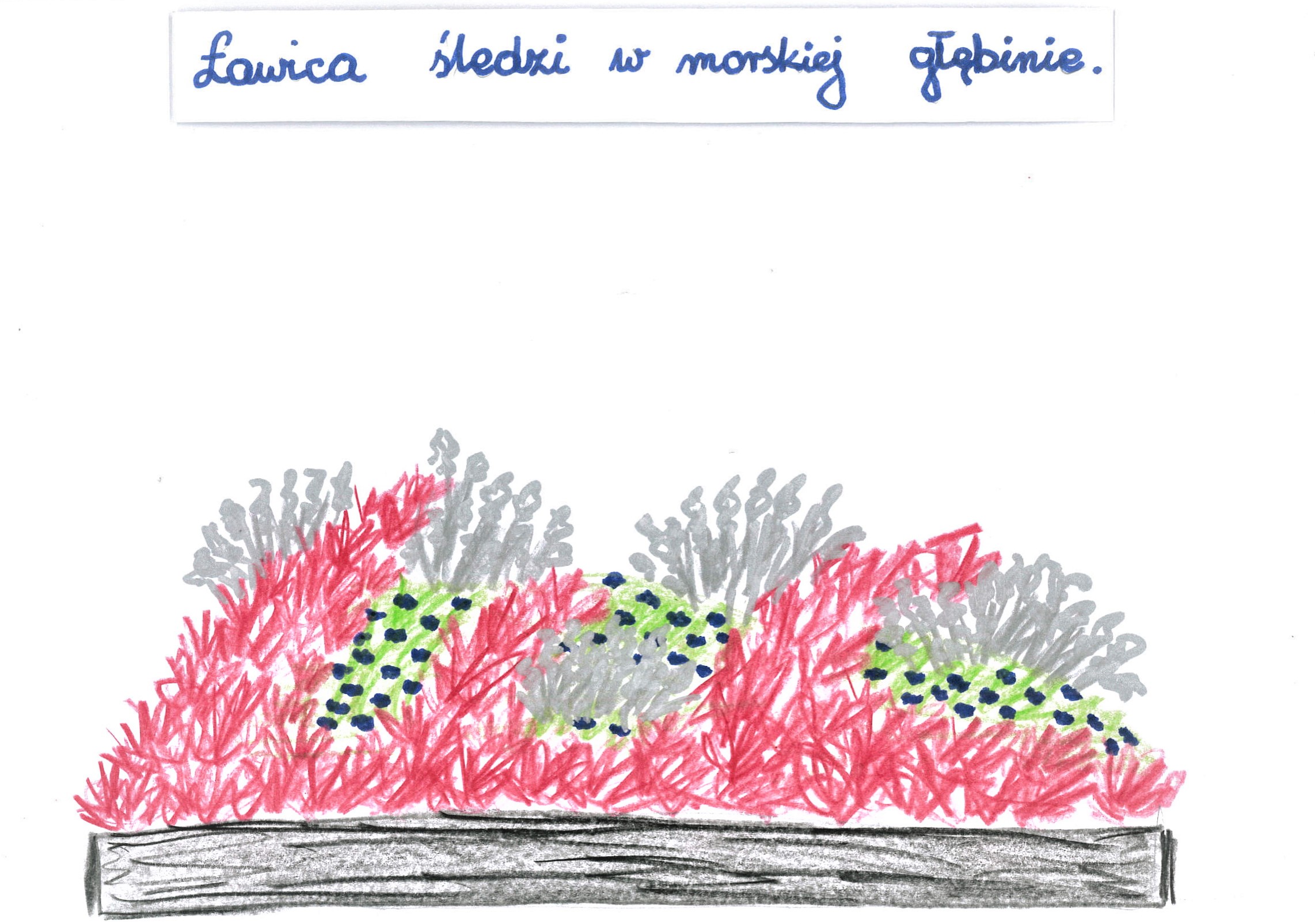 Praca &bdquo;Ławica śledzi w morskiej głębinie&rdquo; Aleksandry Portee. To własnie wg tej koncepcji zrealizowany zostanie kwietnik.