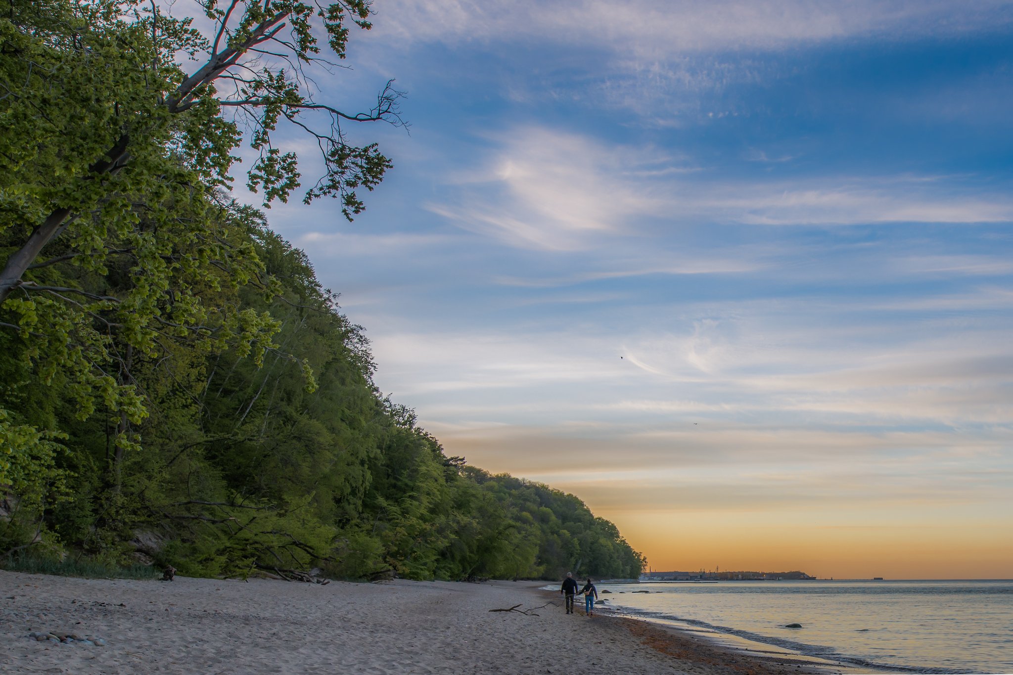 fot. Daniel Pietrzykowski (z grupy Gdynia w obiektywie)