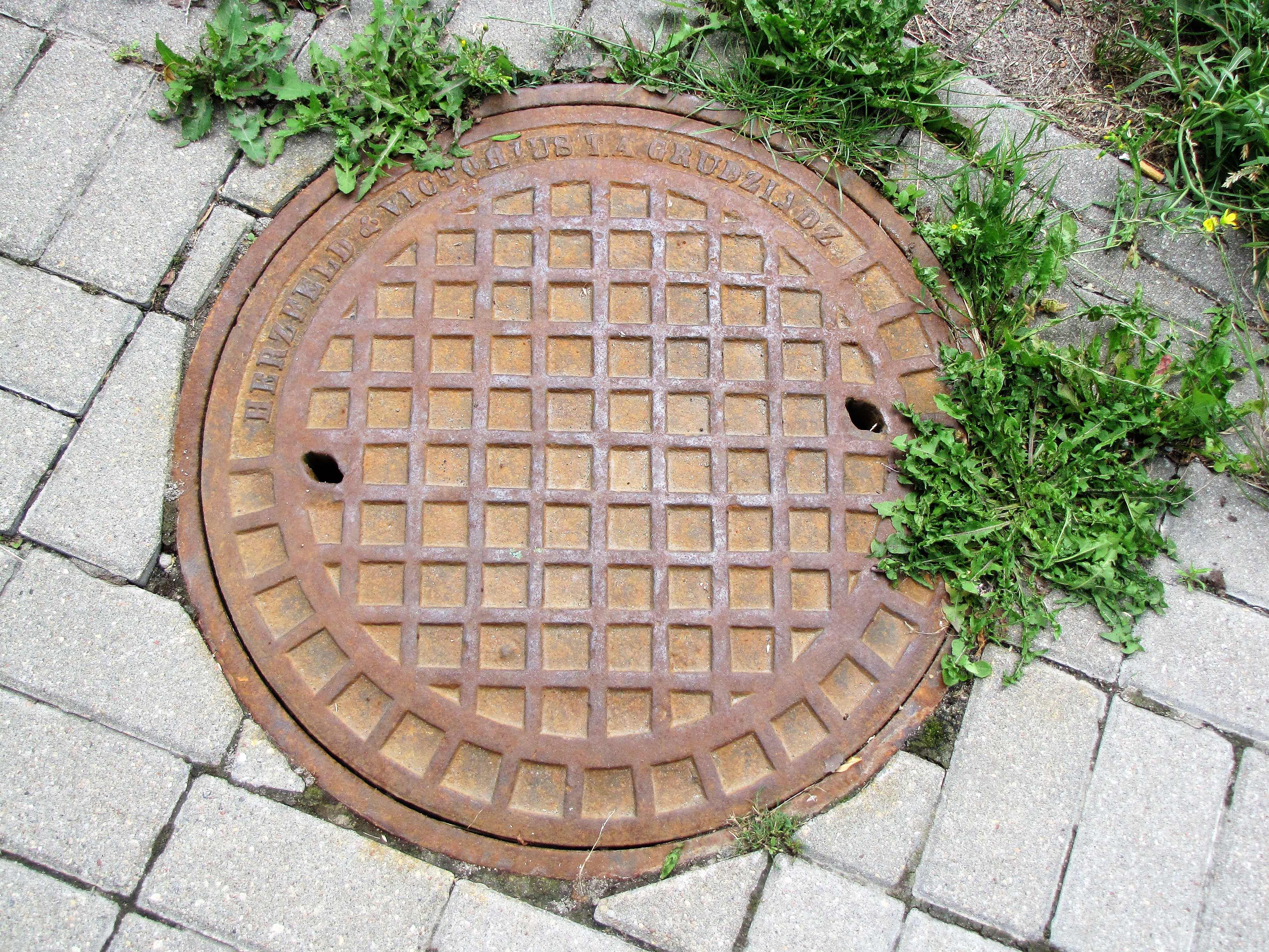 Żeliwna pokrywa studzienki kanalizacyjnej z firmy &bdquo;Herzfeld i Victorius&rdquo; z Grudziądza, występująca w wielu miejscach miasta