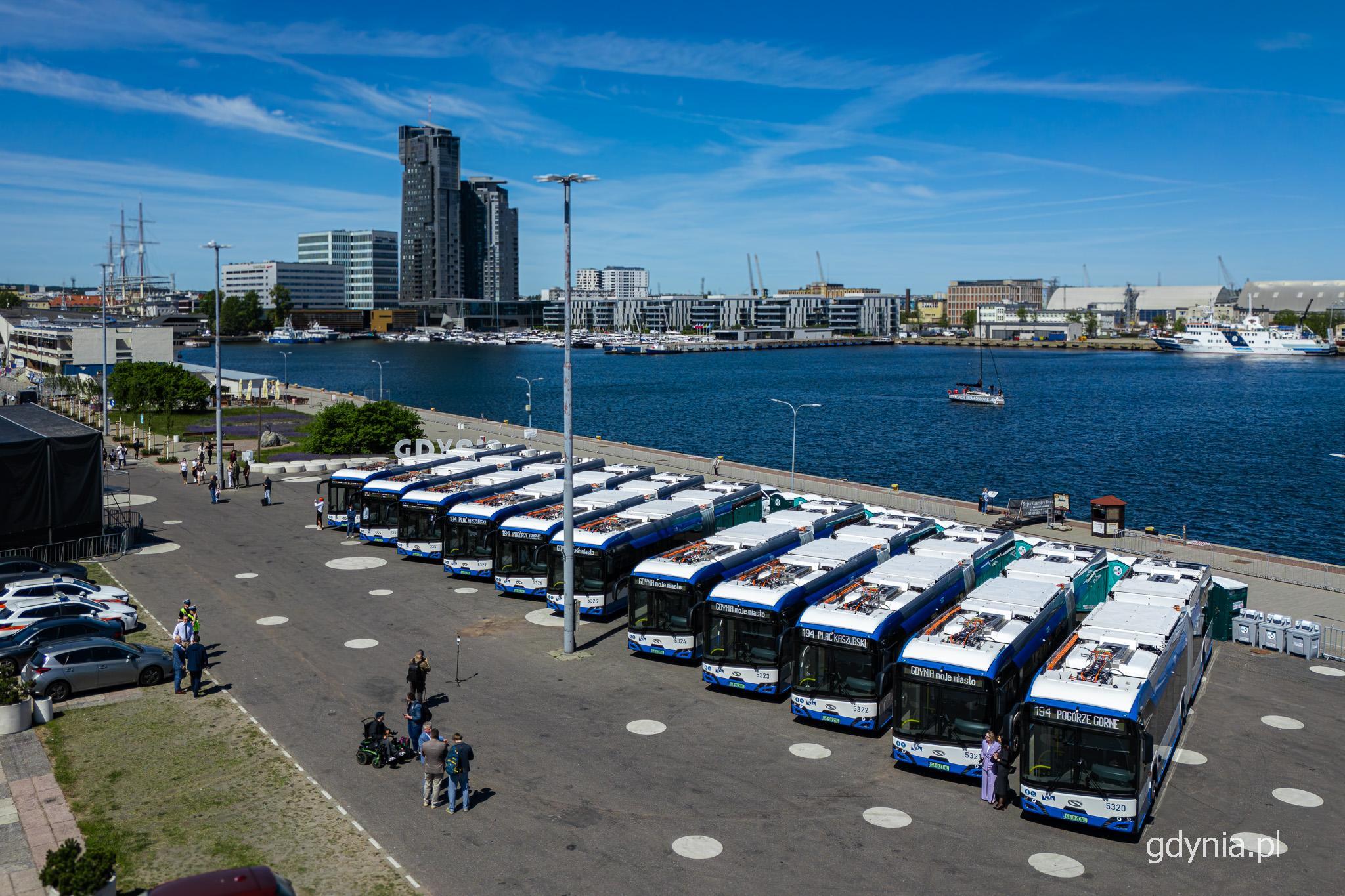 11 autobus&oacute;w na Molo Południowym, w tle marina i Sea Towers