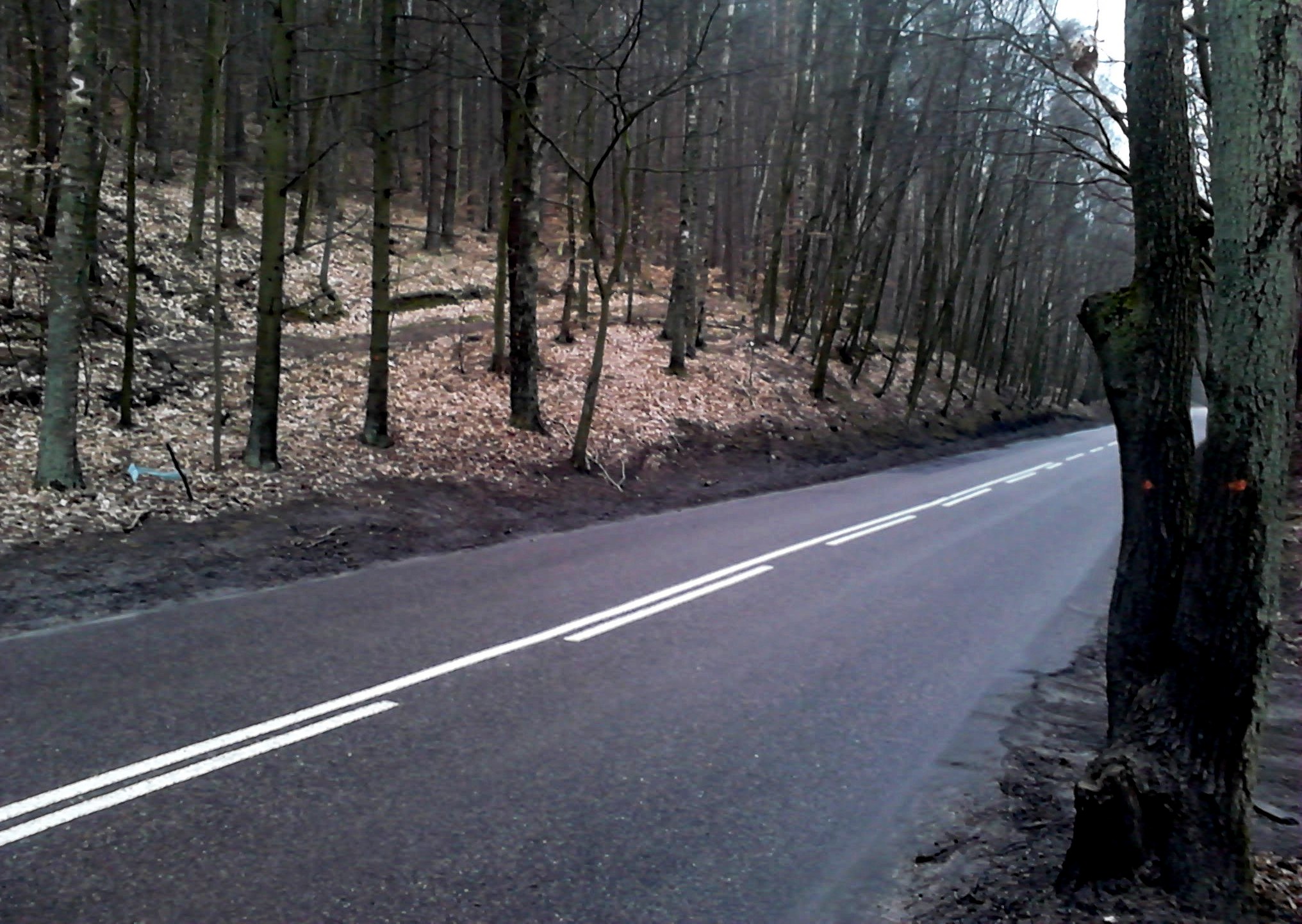 Dzięki poprawie pobocza przejazd Marszewską będzie bezpieczniejszy dla kierowc&oacute;w, szczeg&oacute;lnie w jej newralgicznych punktach, fot. ZDiZ