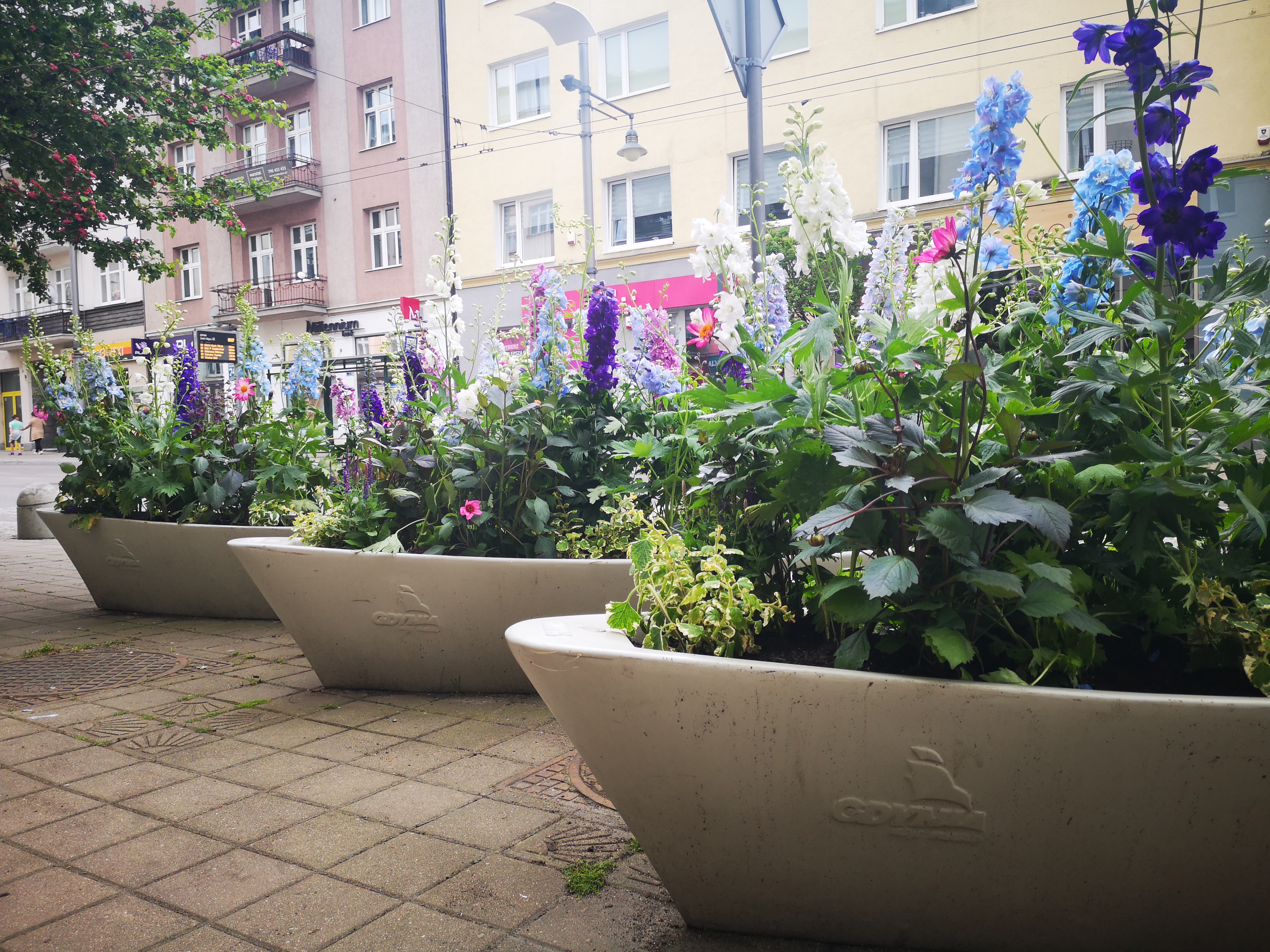 Kolorowe ł&oacute;deczki przy ul. Świętojańskiej pełne kwiat&oacute;w // fot. Karolina Szypelt