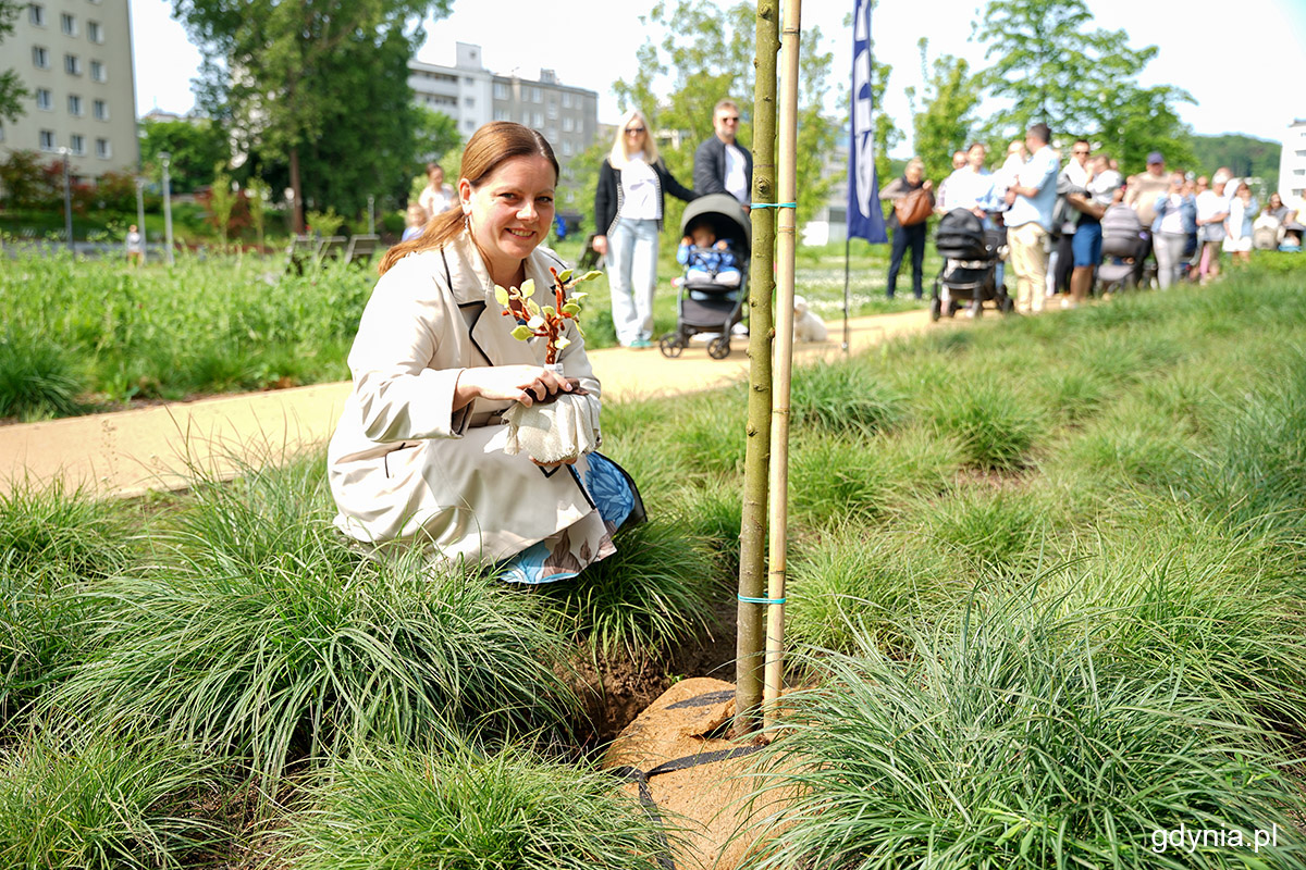 Prezydent Gdyni Aleksandra Kosiorek ze słoiczkiem, w kt&oacute;rym umieszczono imiona gdynian urodzonych w 2024 roku (fot. Mirosław Pieślak)