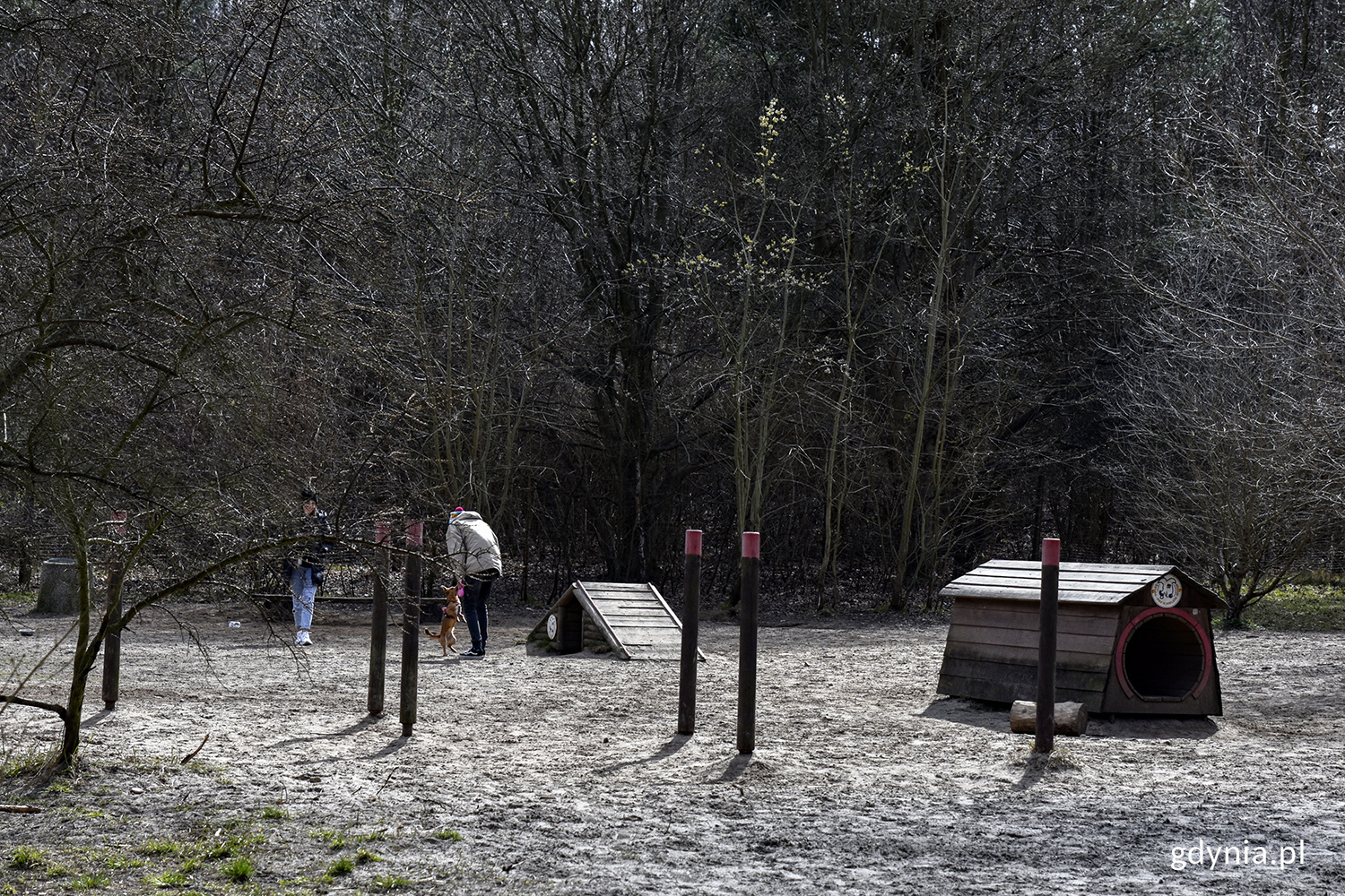 Wybieg dla ps&oacute;w w Kolibkach. Fot. Sławomir Okoń