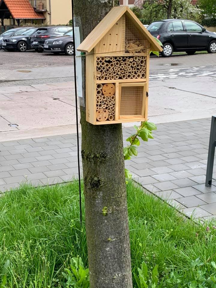 budkla na owady w parku im. Franciszka Ornassa // fot.#dzielnicewGdyni