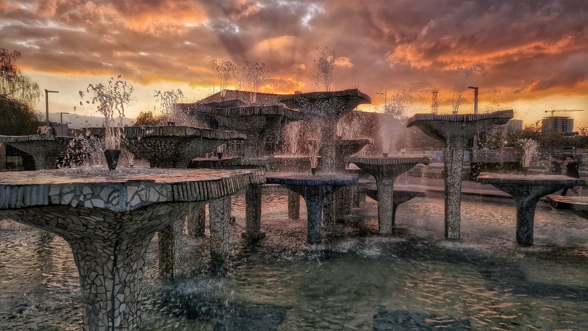 fot. Paweł Stoiński (zdjęcie z grupy Gdynia w obiektywie)