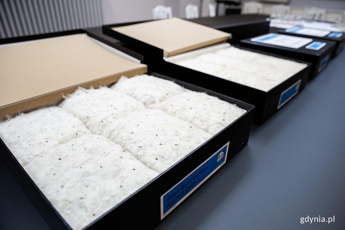 Pr&oacute;bki bawełny w skrzynkach.