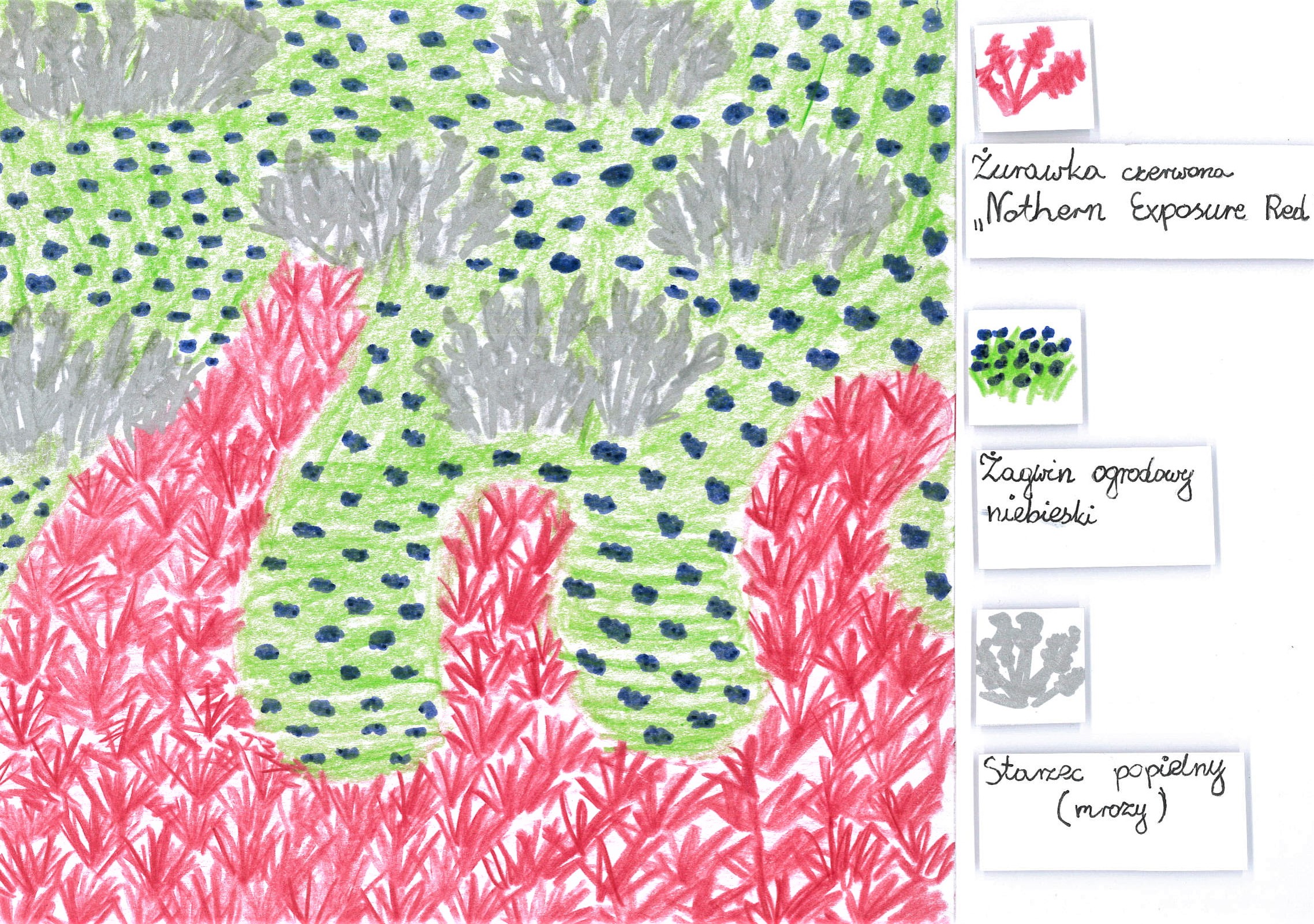 Zwycięska praca Aleksandry Portee