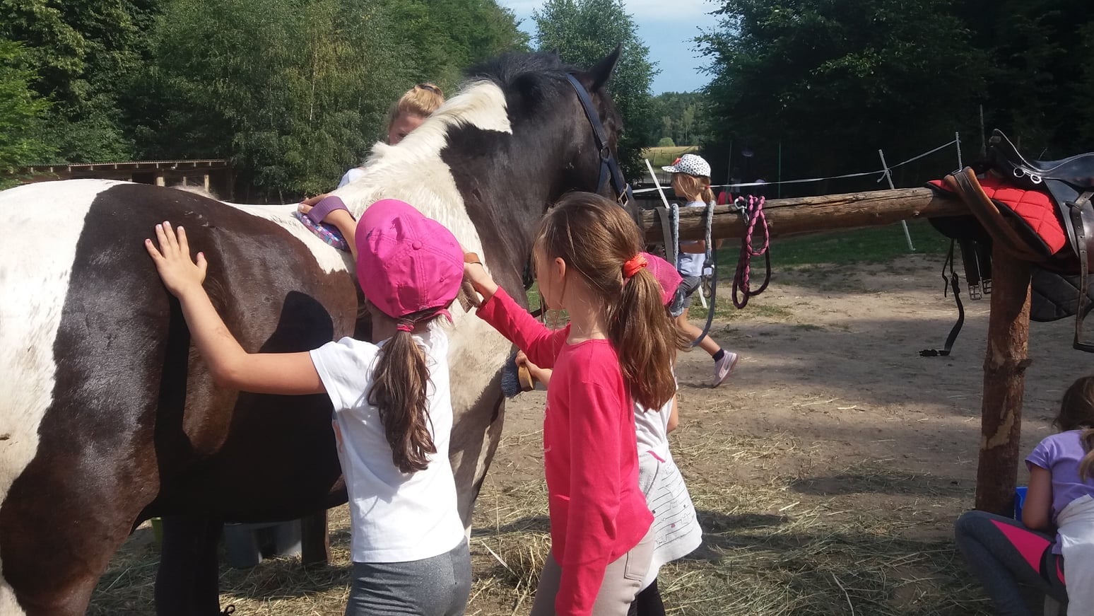 P&oacute;łkolonie w siodle. Fot. Stajnia Zielony Koń 