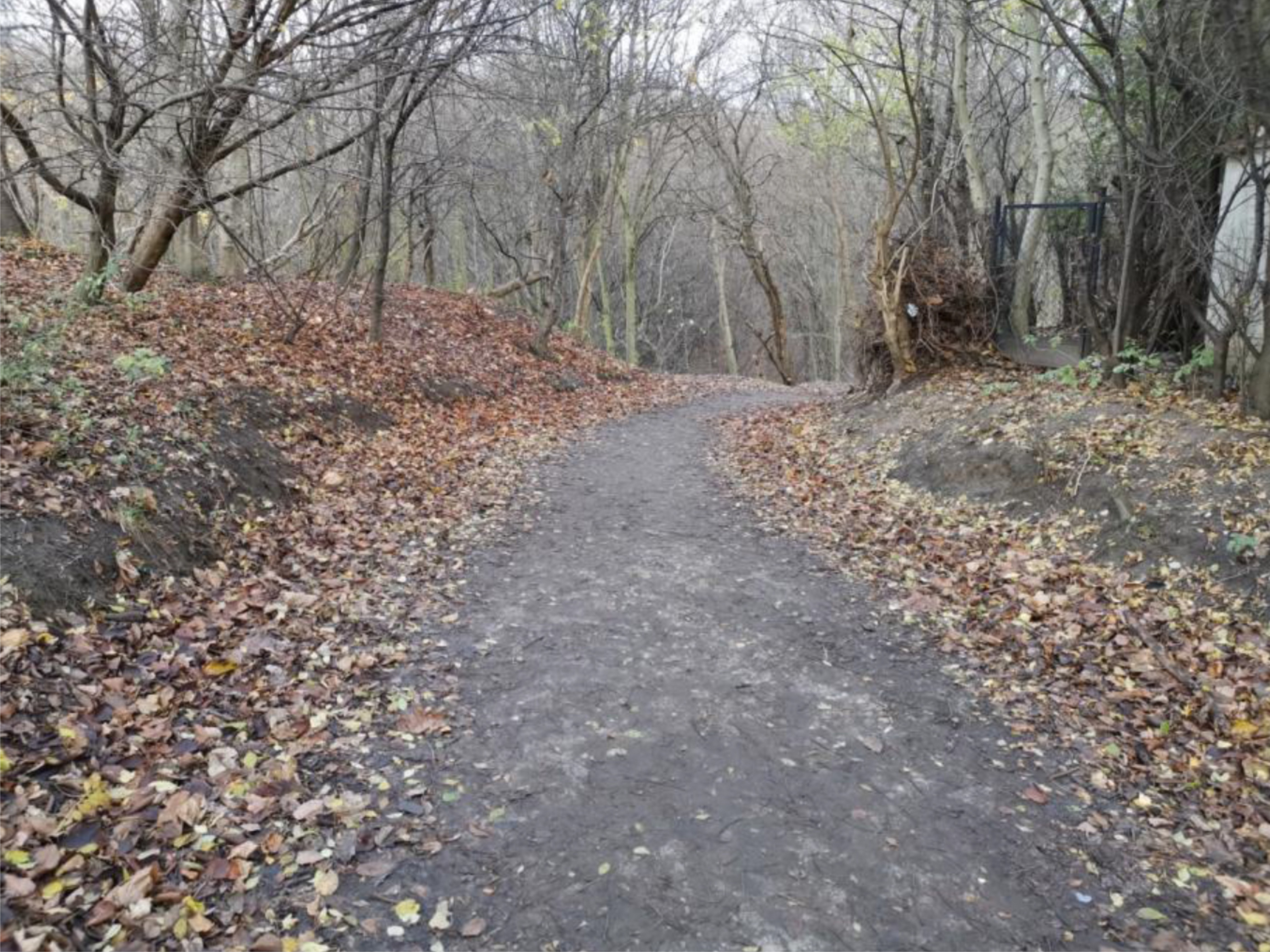 Ścieżka prowadząca z ulicy Orląt Lwowskich do Polanki Redłowskiej, fot. WOM