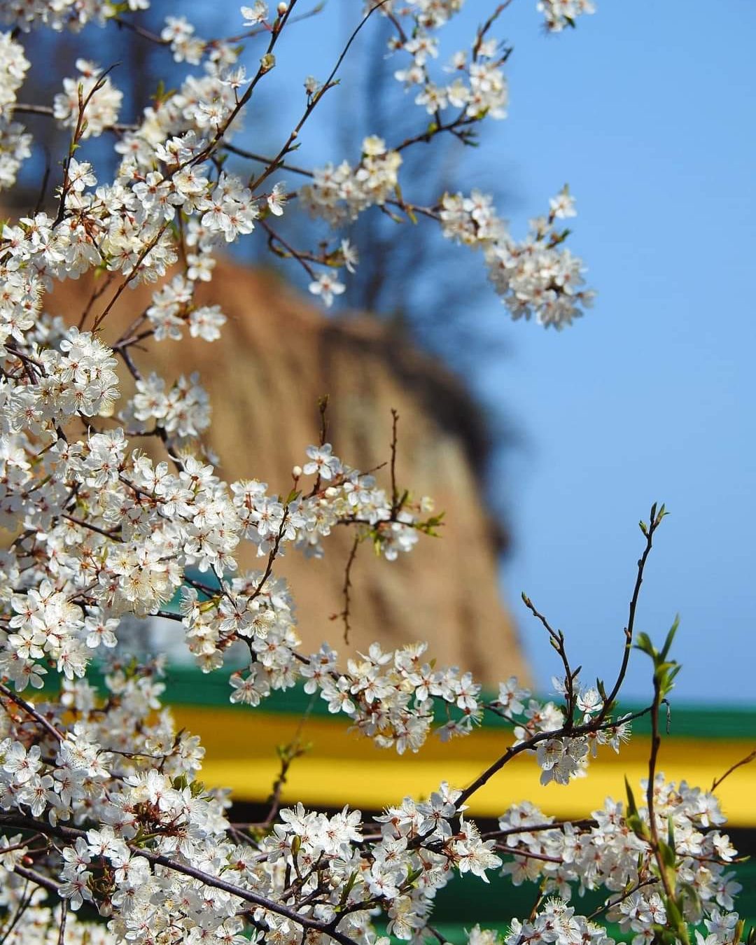 fot. Iwona Plata (z facebookowej grupy Gdynia w obiektywie)