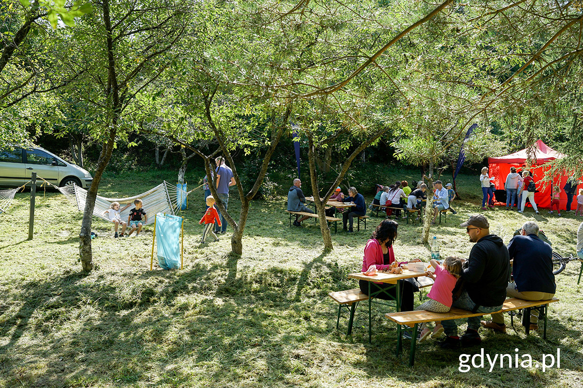 Park przy ul. Spokojnej, drzewa, zieleń, ludzie na ławkach, hamaki, festyn