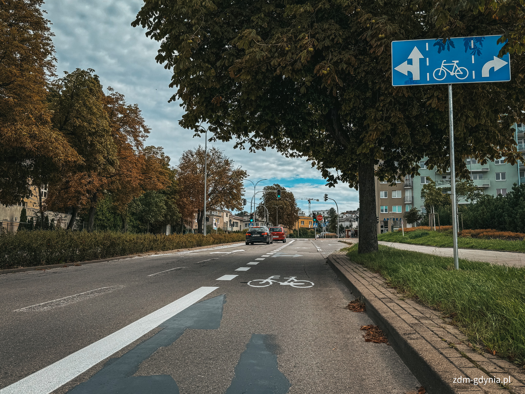 Pasy rowerowe oznaczono białą farbą (fot. Marcin Mielewski, Zarząd Dr&oacute;g Miejskich)