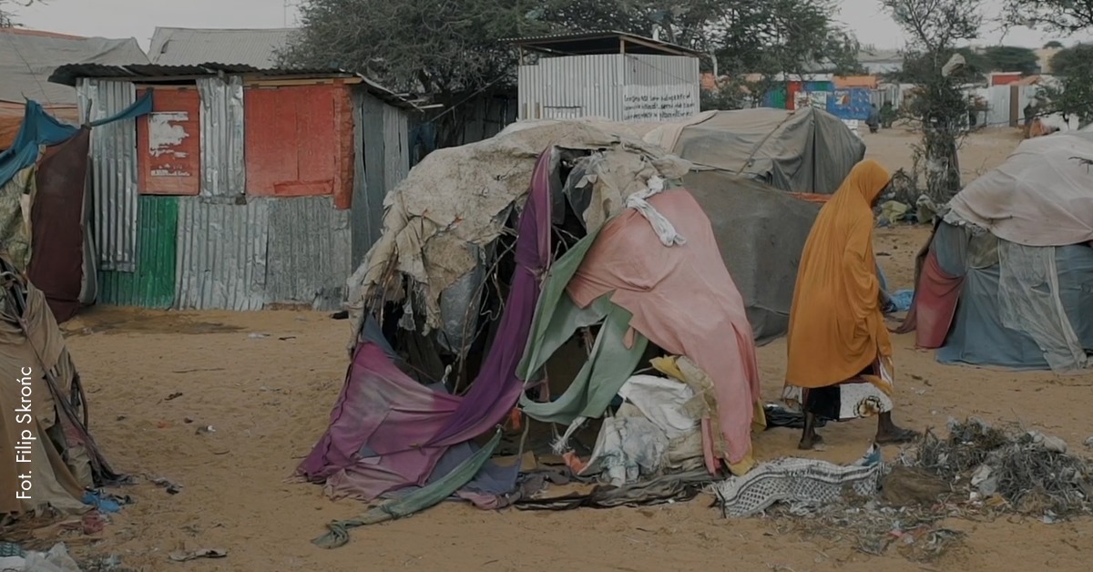 Nie/prawdziwe zdjęcia fot. Filip Skrońc, źr&oacute;dło: Szkoła Humanitarna