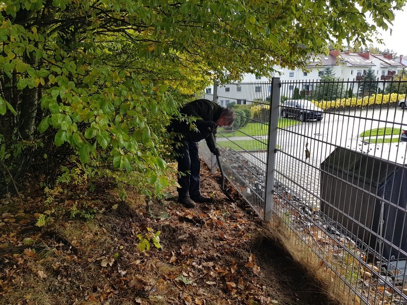 Montaż nowego płotu chroniącego płazy w czasie wiosennej migracji. Fot. Tr&oacute;jmiejski Park Krajobrazowy