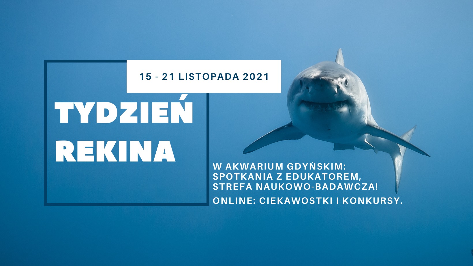 mat. promocyjne Akwarium Gdyńskiego / facebook.com/AkwariumGdynskie