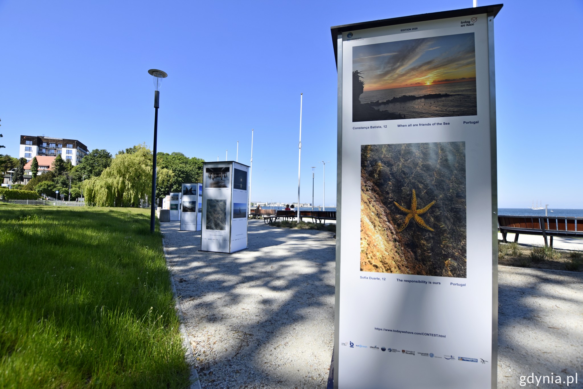 Ubiegłoroczna wystawa pokonkursowa na skwerze Arki Gdynia // fot. Paweł Kukla