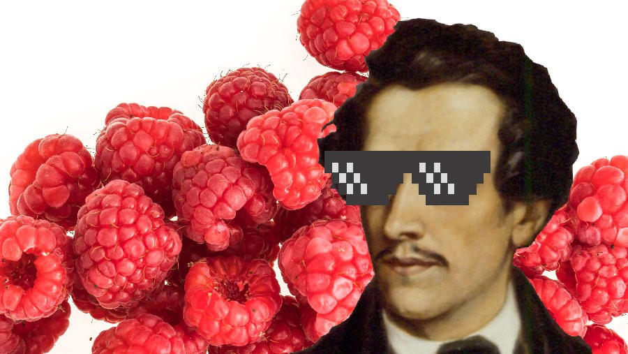 Wiedźmy, lasy i alkierze - Balladyna na Tinderze - spotkanie online z Martą Justyną Nowicką. Źr&oacute;dło: Biblioteka Gdynia