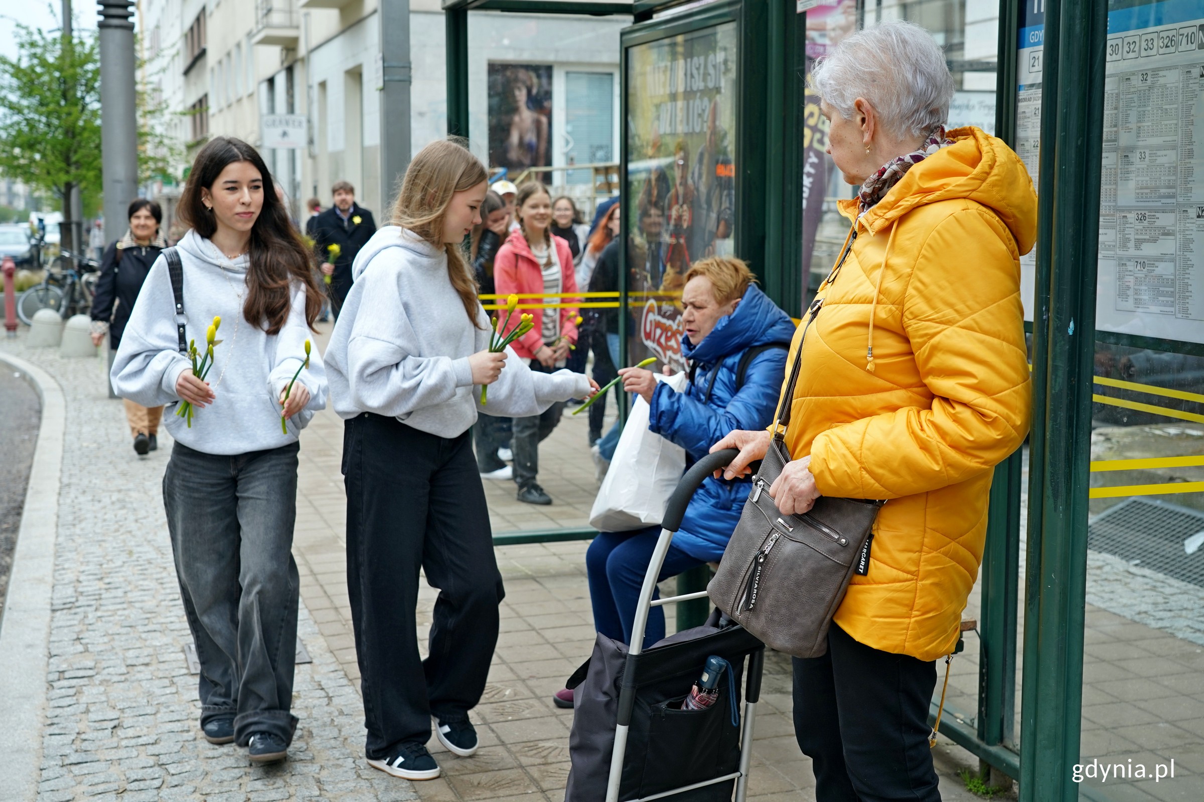 Uczniowie gdyńskich szk&oacute;ł wręczający mieszkańcom żonkile pamięci (fot. Magdalena Czernek)
