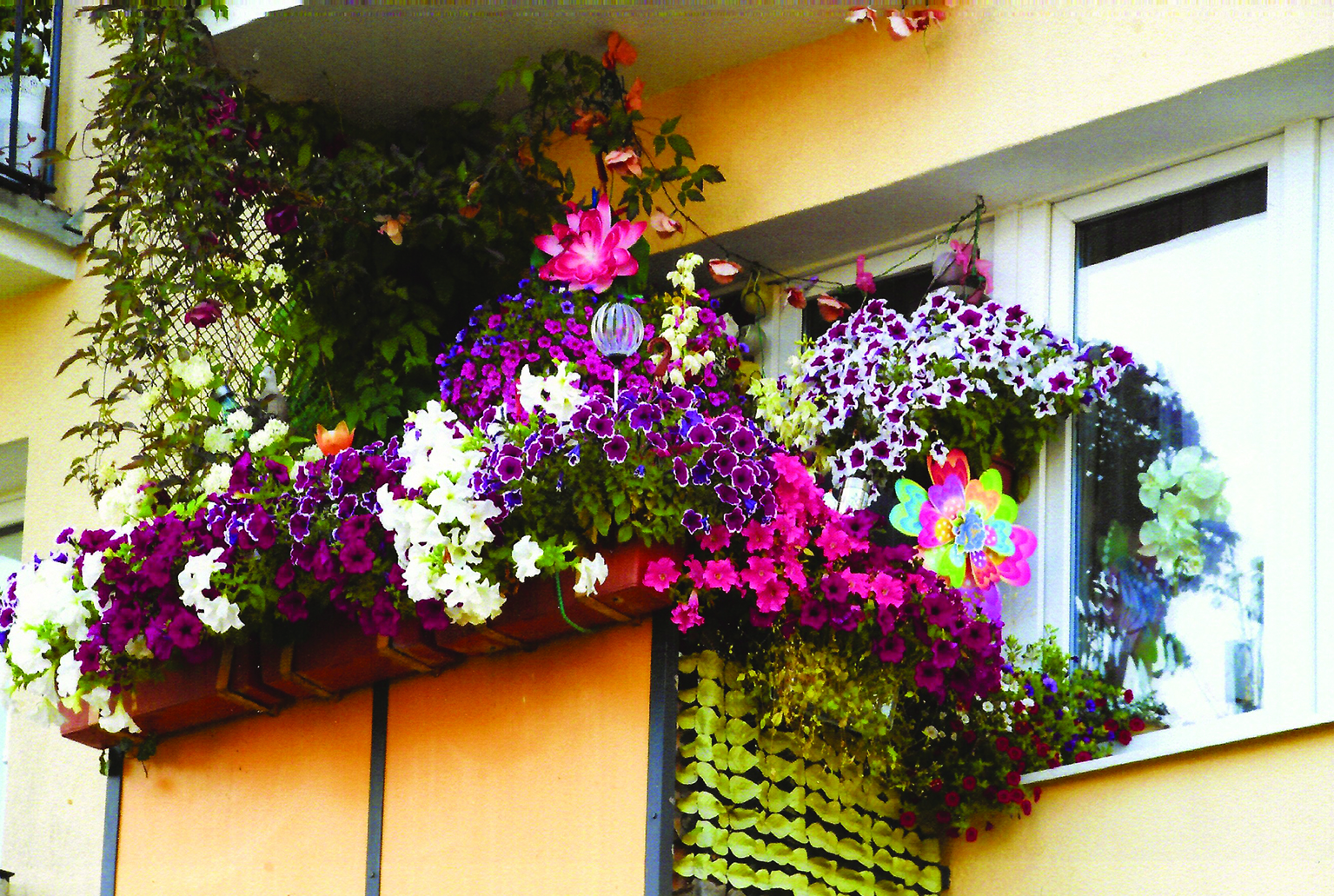 Nagroda gł&oacute;wna w konkursie "Gdynia w kwiatach" - kategoria nadziemne części budynk&oacute;w wielorodzinnych // mat. prasowe Ogrodnika Miasta