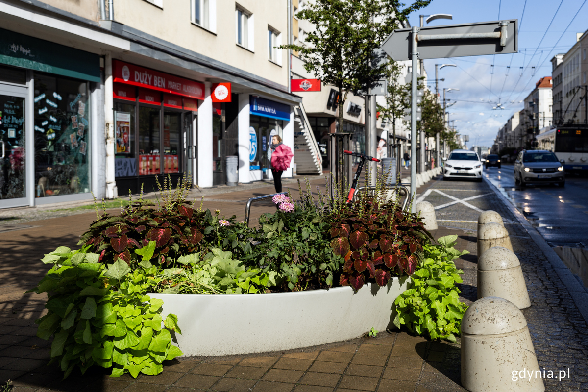 Donica w kształcie ł&oacute;dki z roślinami na chodniku.