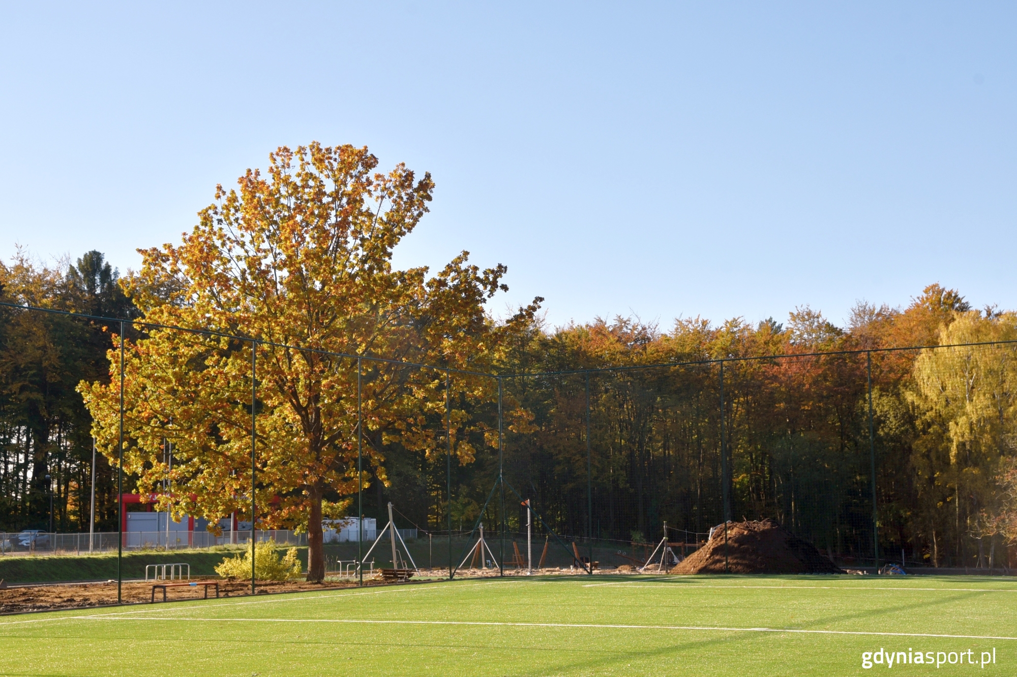 boisko w budowie i drzewo na jego końcu, w tle las
