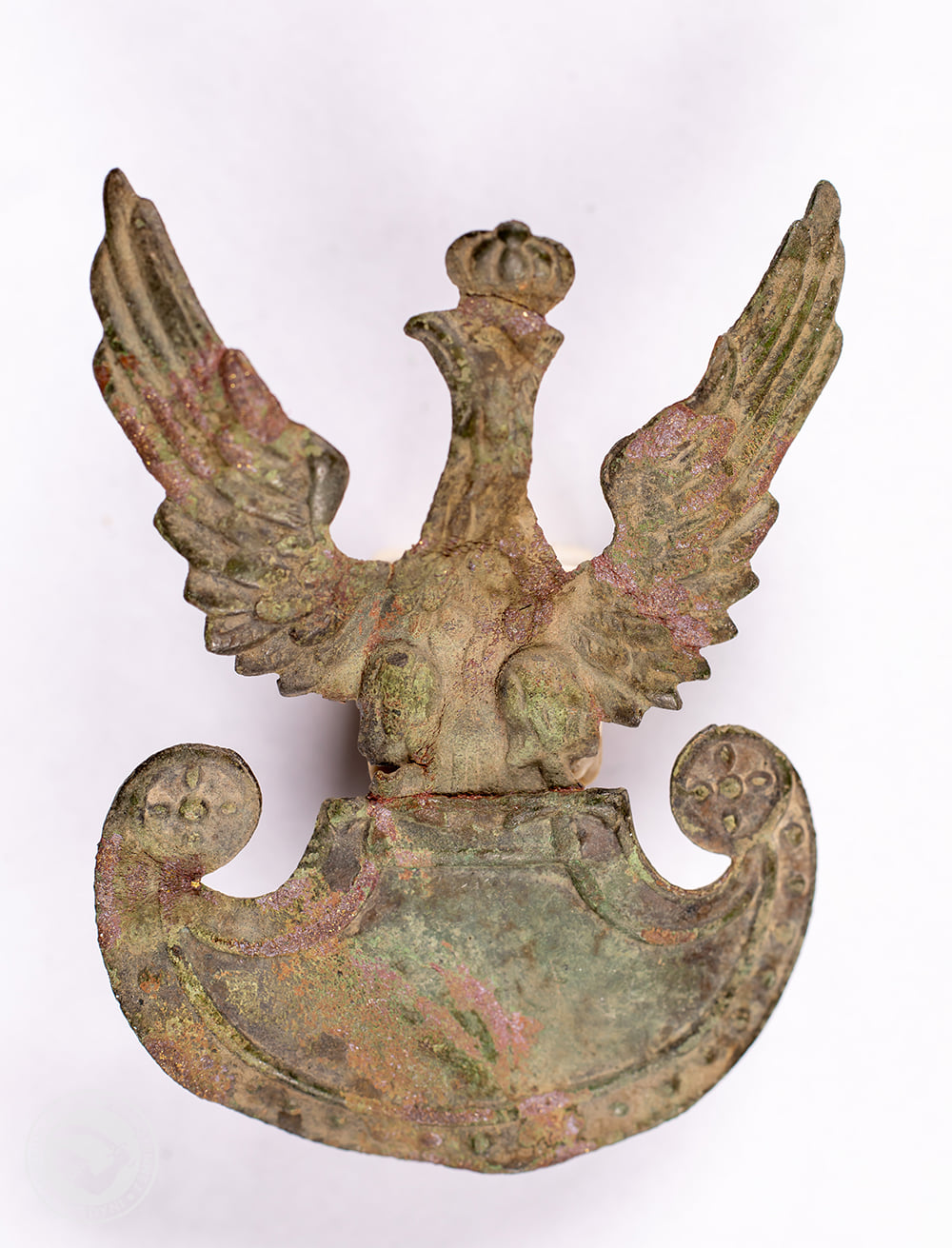 Orzełek odnaleziony na Helu, fot. facebook.com/MuzeumMW