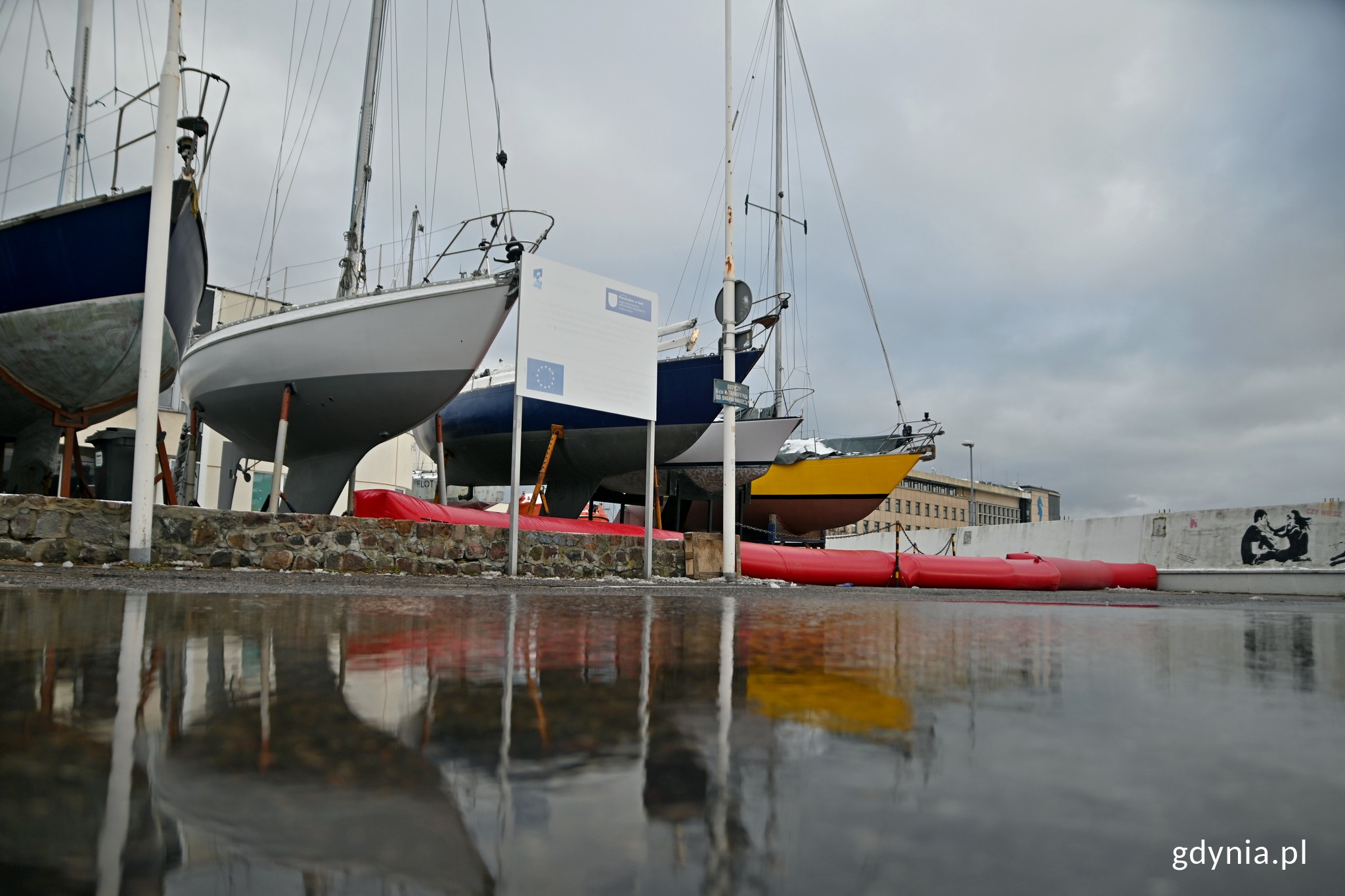 Cofka na nabrzeżu Beniowskiego w Gdyni. Fot. Marcin Mielewski
