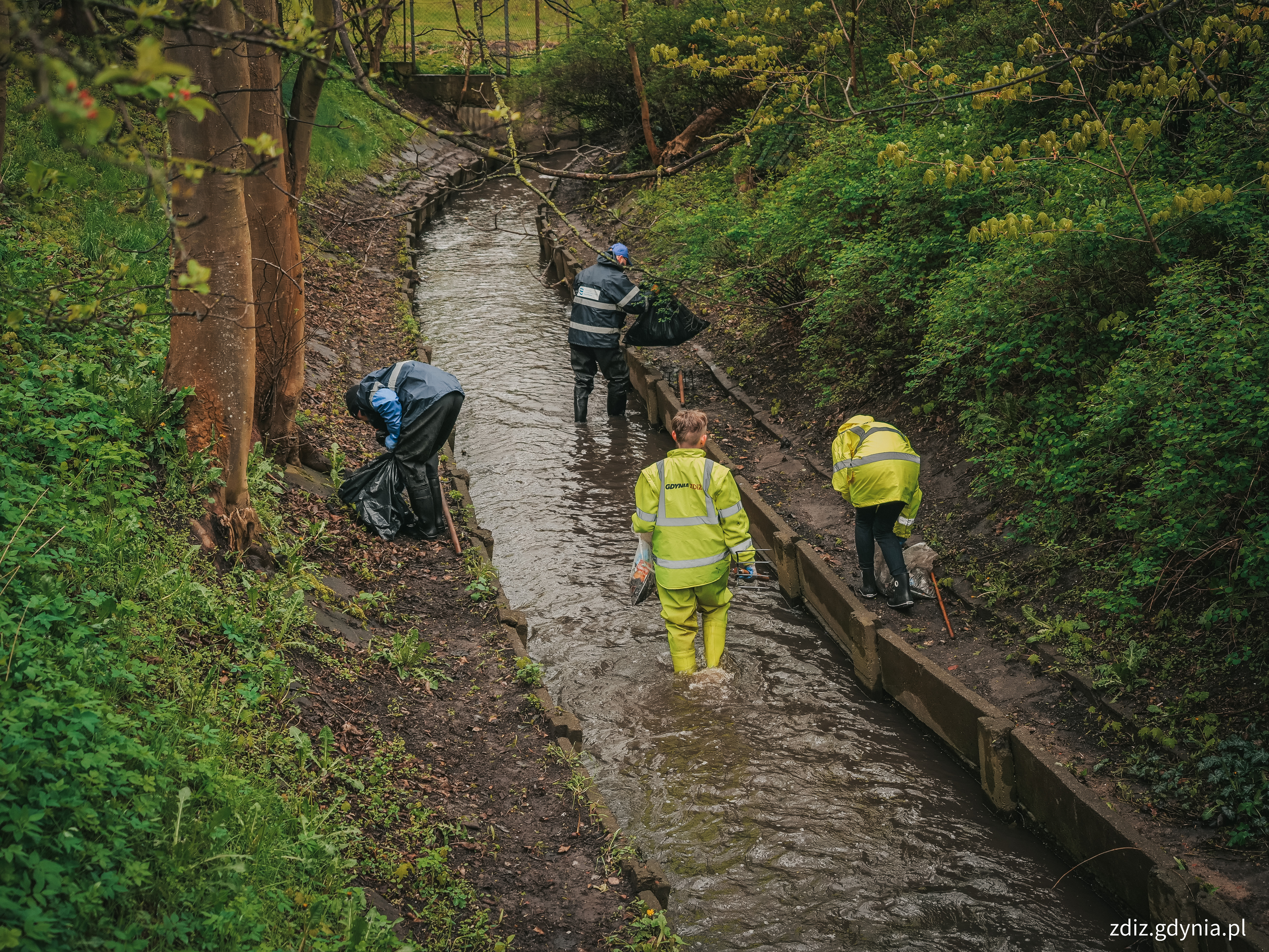 Sprzątanie teren&oacute;w nadrzecznych i koryta Strugi Cisowskiej