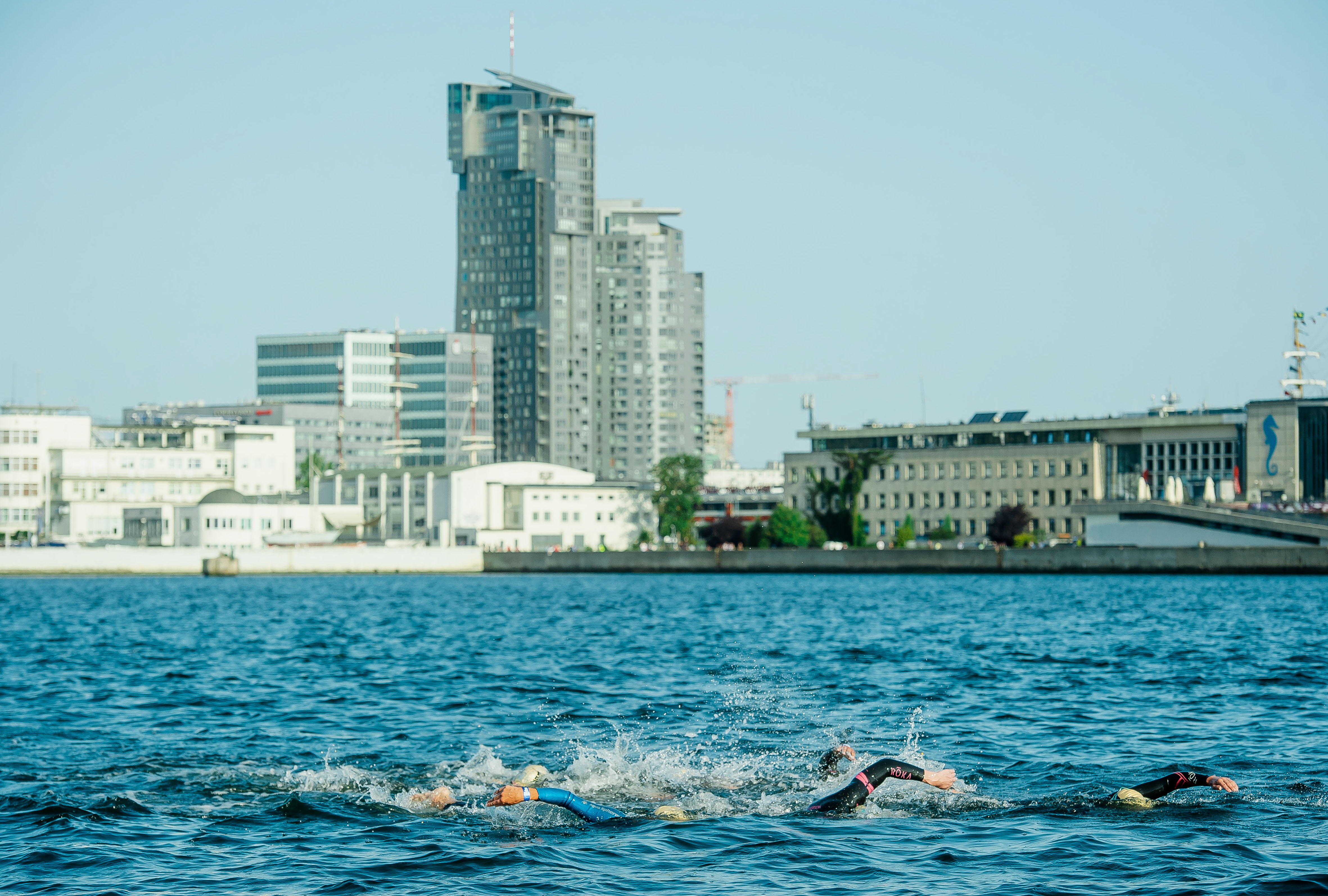 Uczestnicy zawod&oacute;w triathlonowych płynący w wodzie. W tle budynek Akwarium Gdyńskiego i Sea Towers
