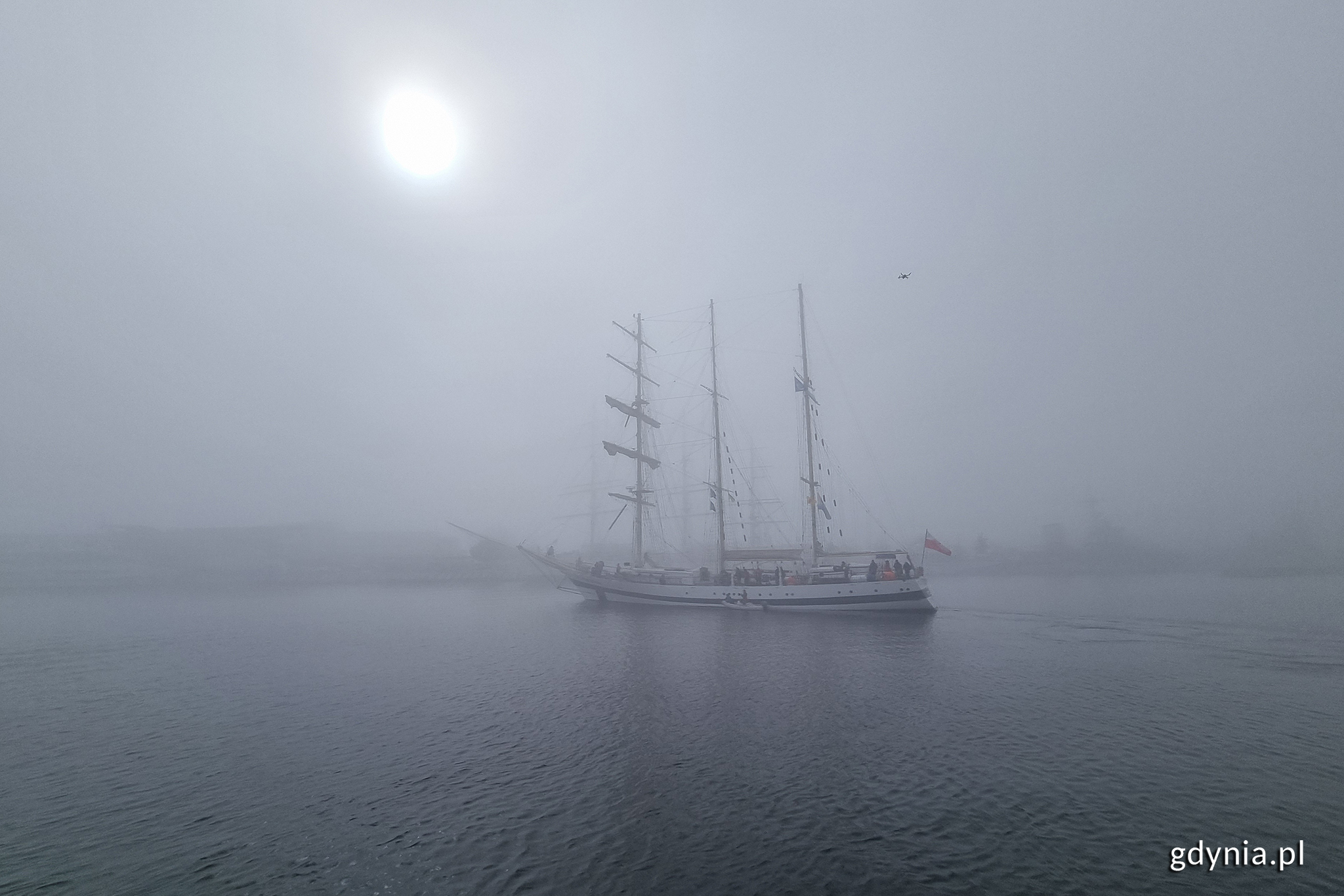 Wyjściu "Pogorii" w morze towarzyszyła gęsta mgła // fot. Michał Puszczewicz