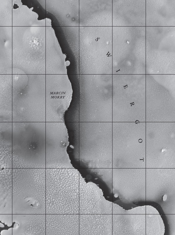 Okładka książki pt. "Świergot" // fot. materiały prasowe