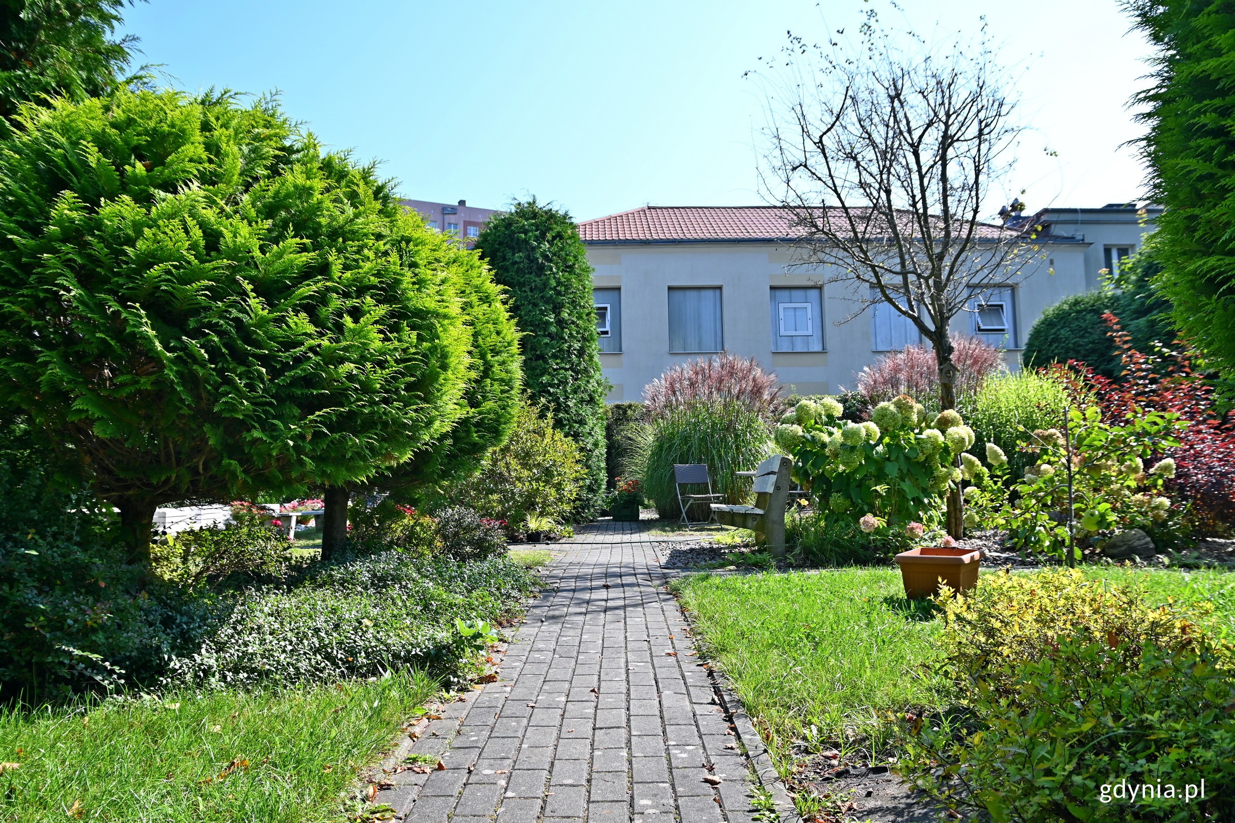 Ogr&oacute;d polisensoryczny przy Szkole Podstawowej nr 10 w Gdyni (fot. Magdalena Czernek)