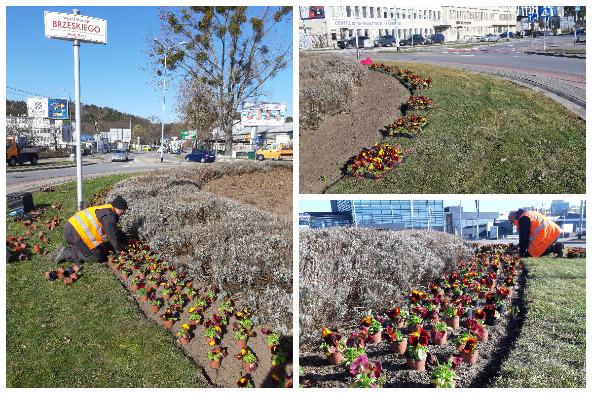 Mieszkańcy Małego Kacka oraz radni dzielnicowi podczas sprzątania terenu, na kt&oacute;rym ma powstać park rodzinny/ fot. Wiesław Karpisiak